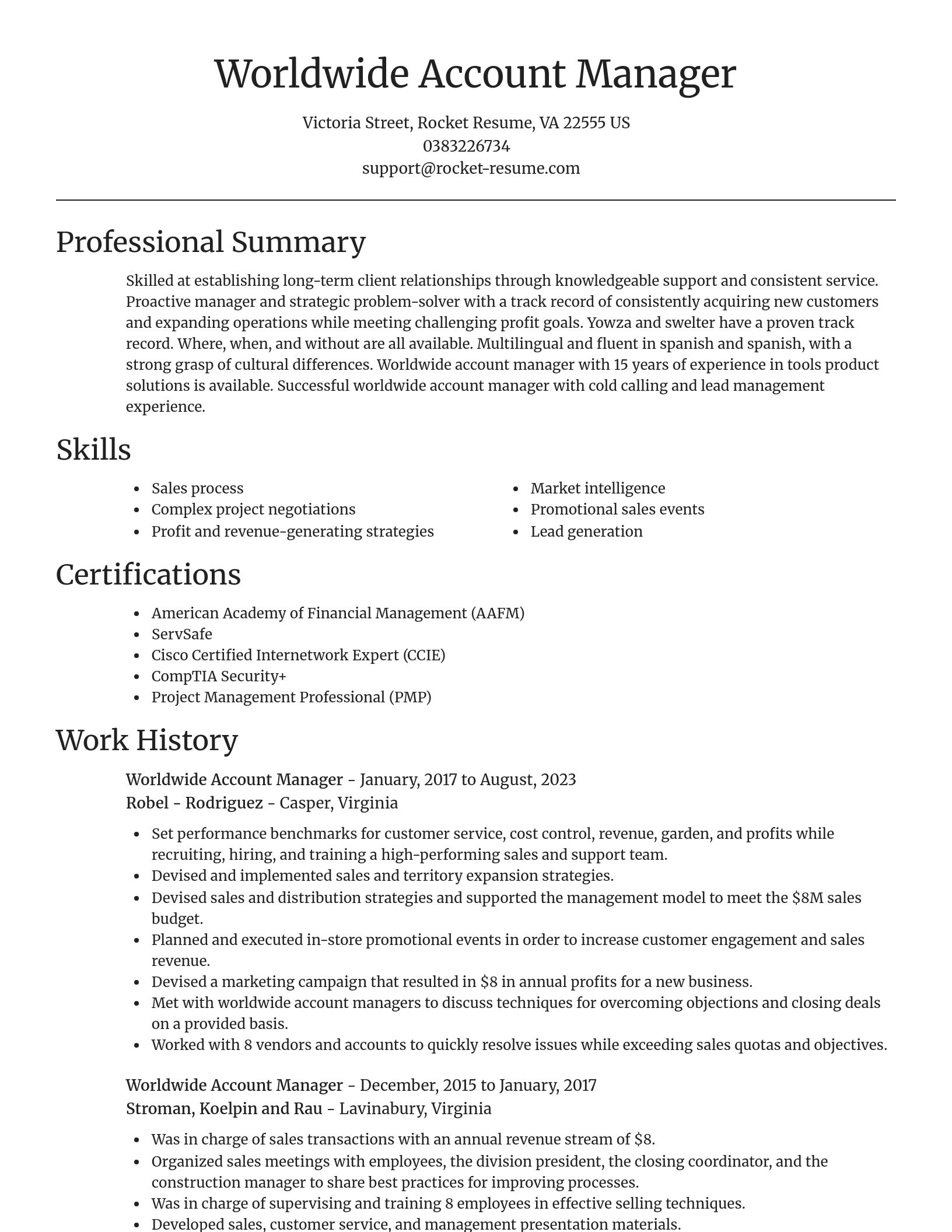 Focal Point resume template