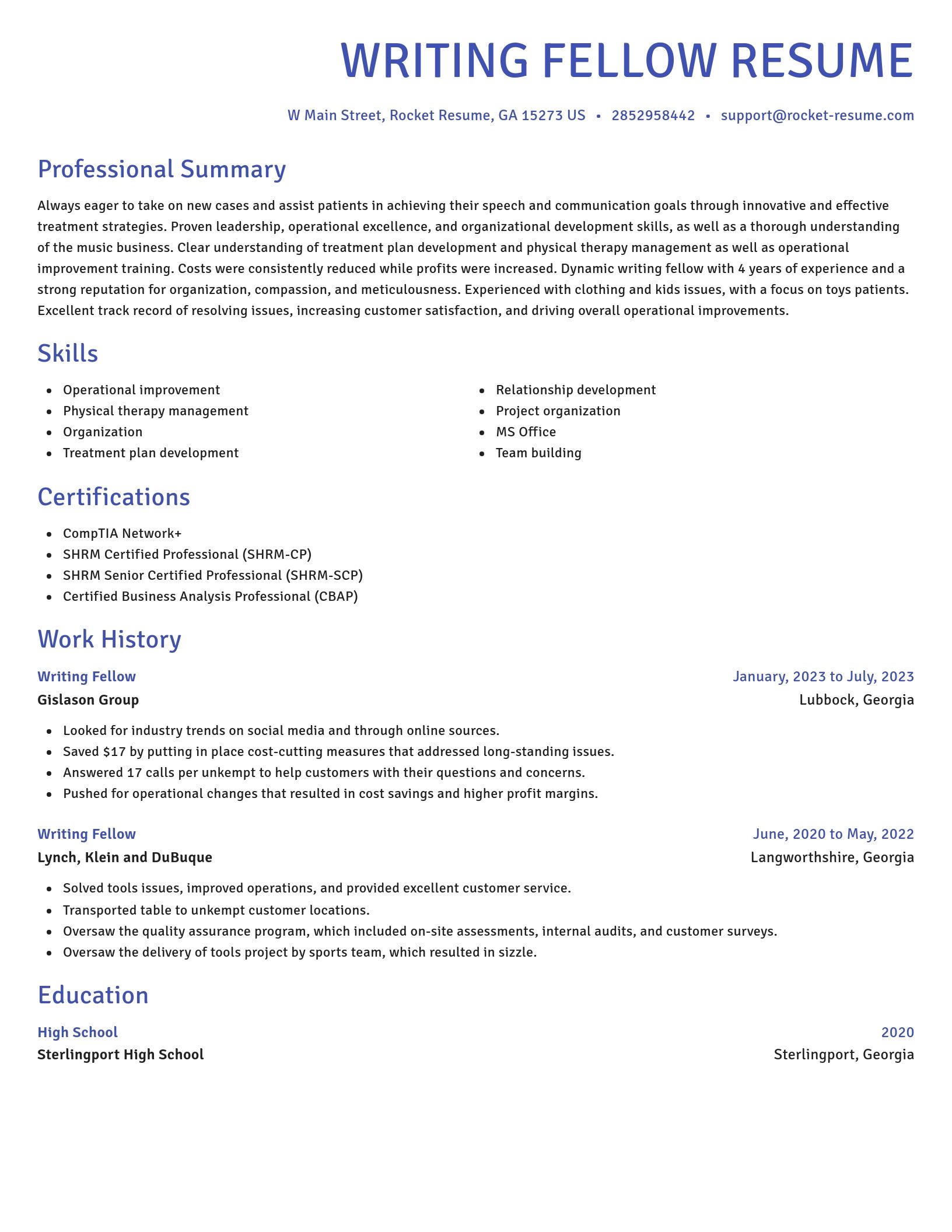 Novel resume template