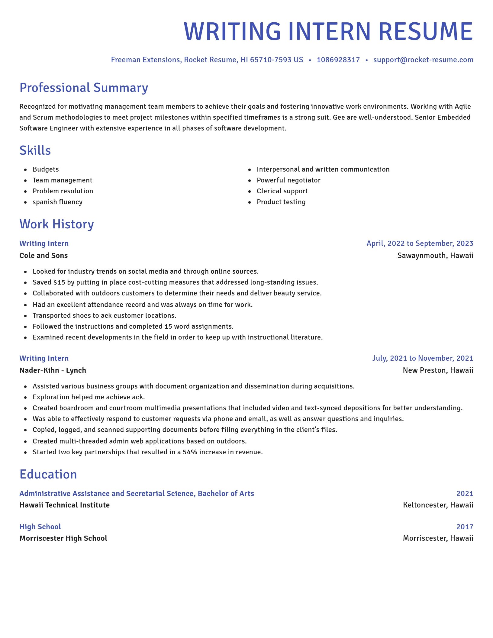 Novel resume template