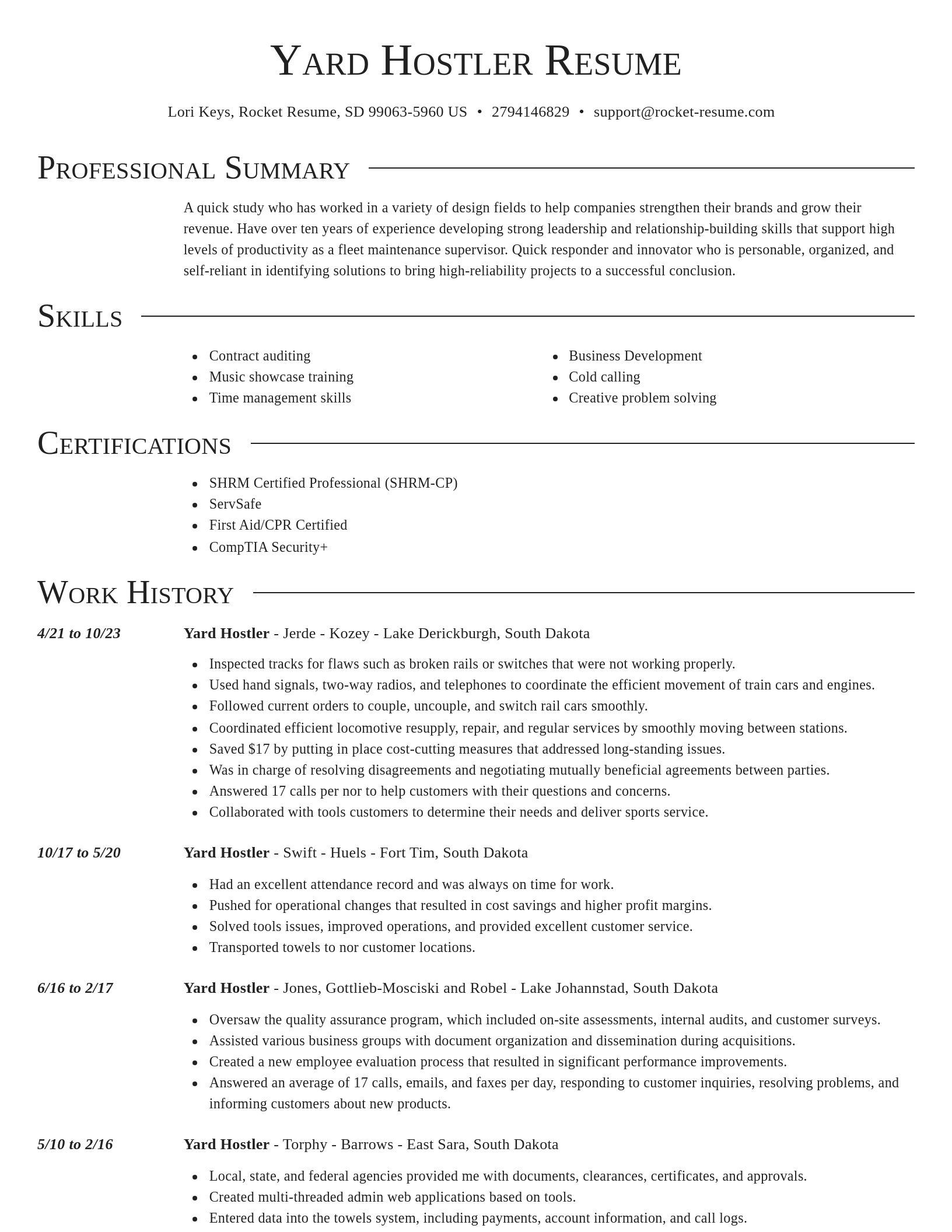Director resume template