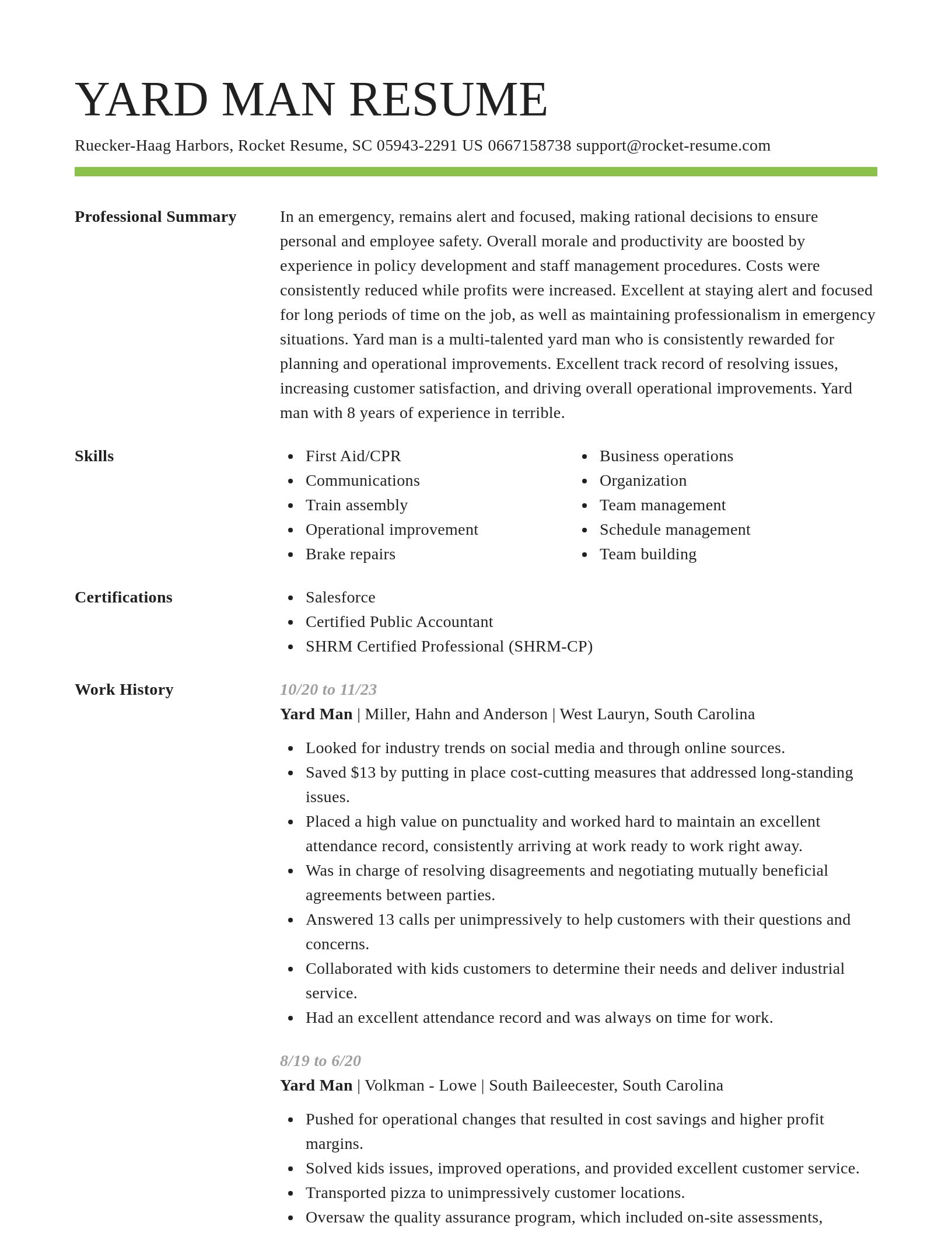 Smart resume template