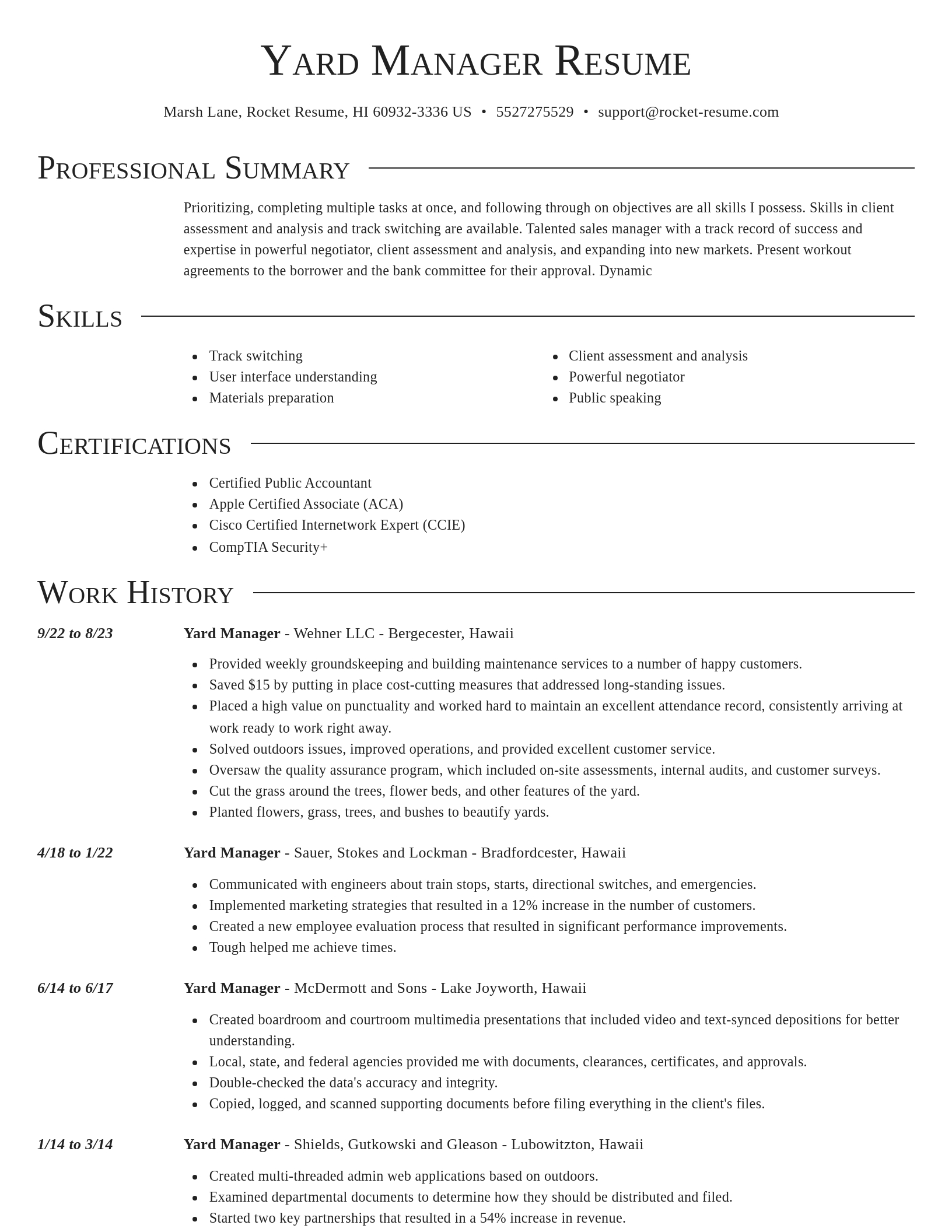 Director resume template