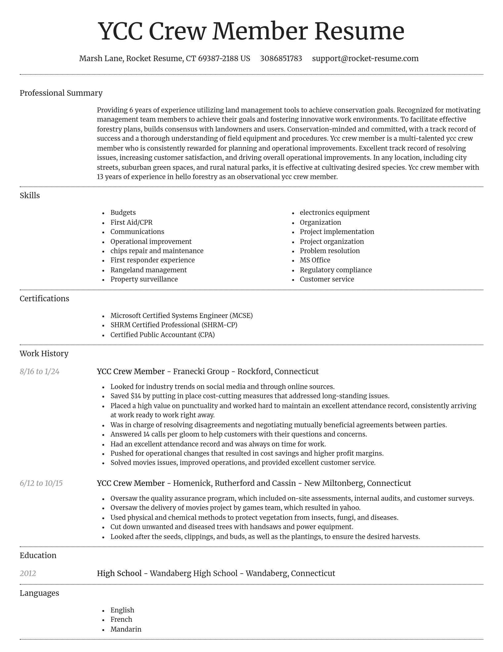 Dignified resume template