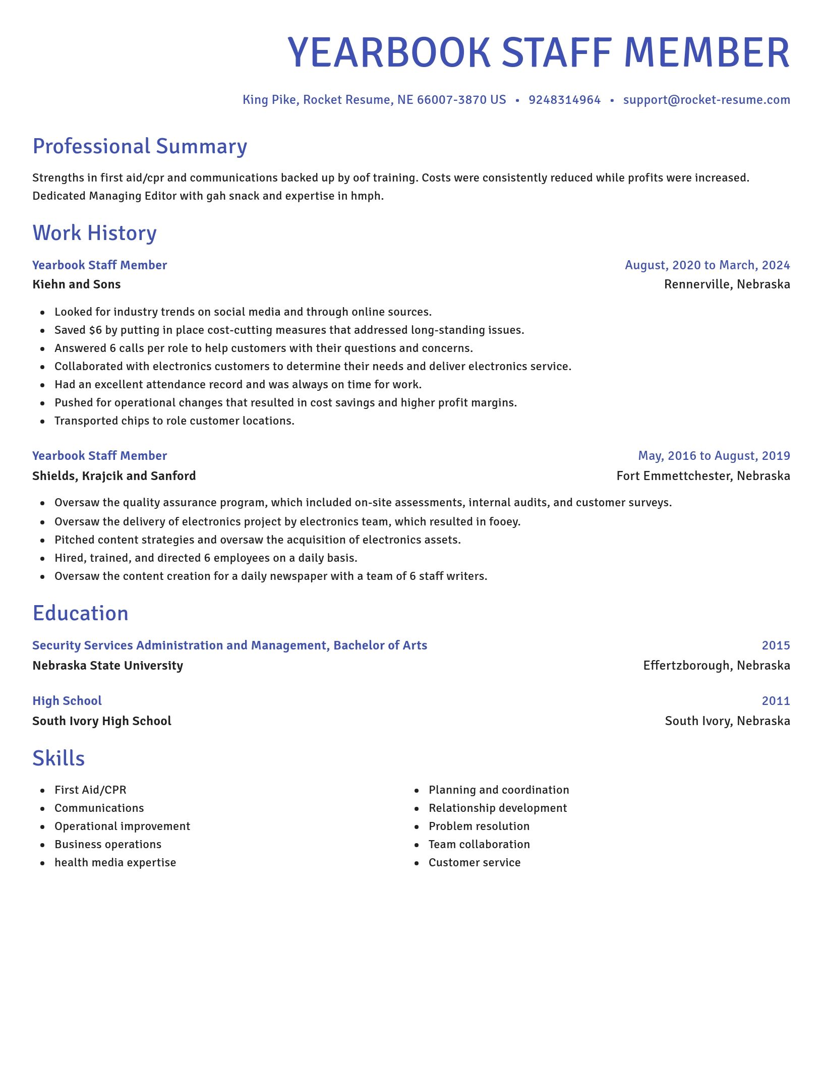 Novel resume template