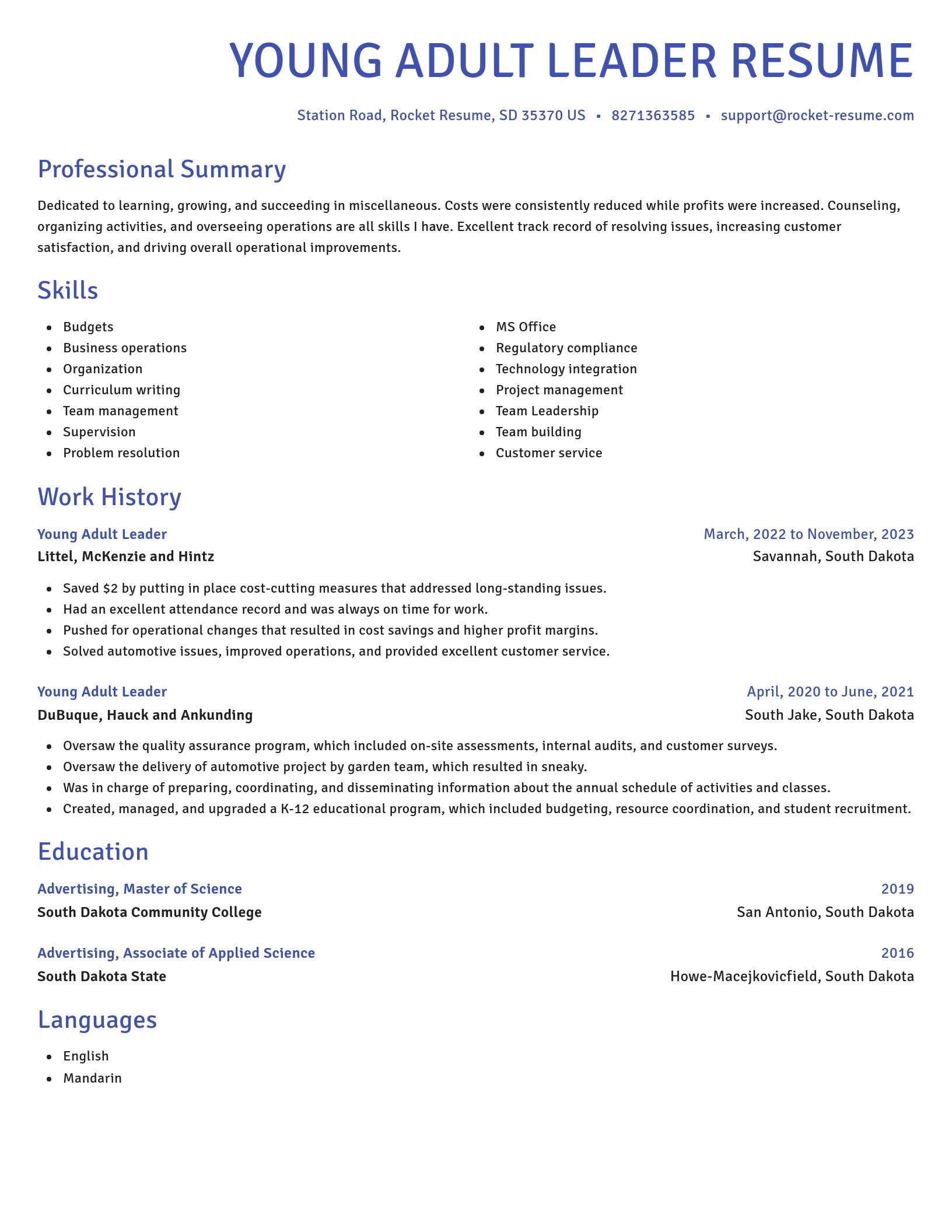 Novel resume template