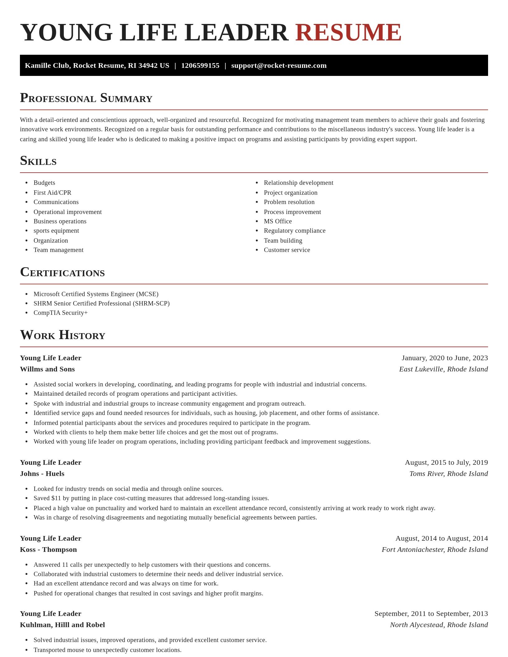 Exquisite resume template