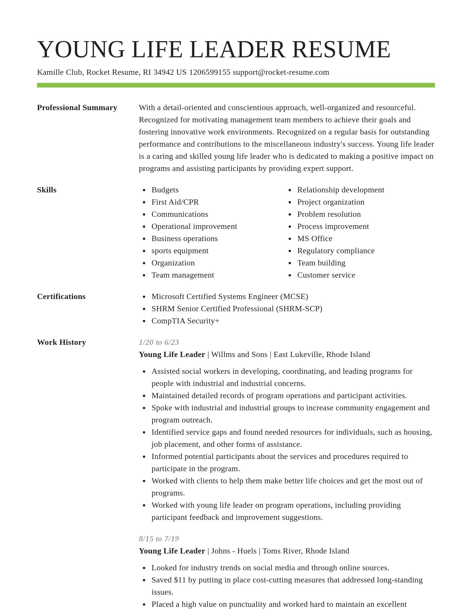 Smart resume template