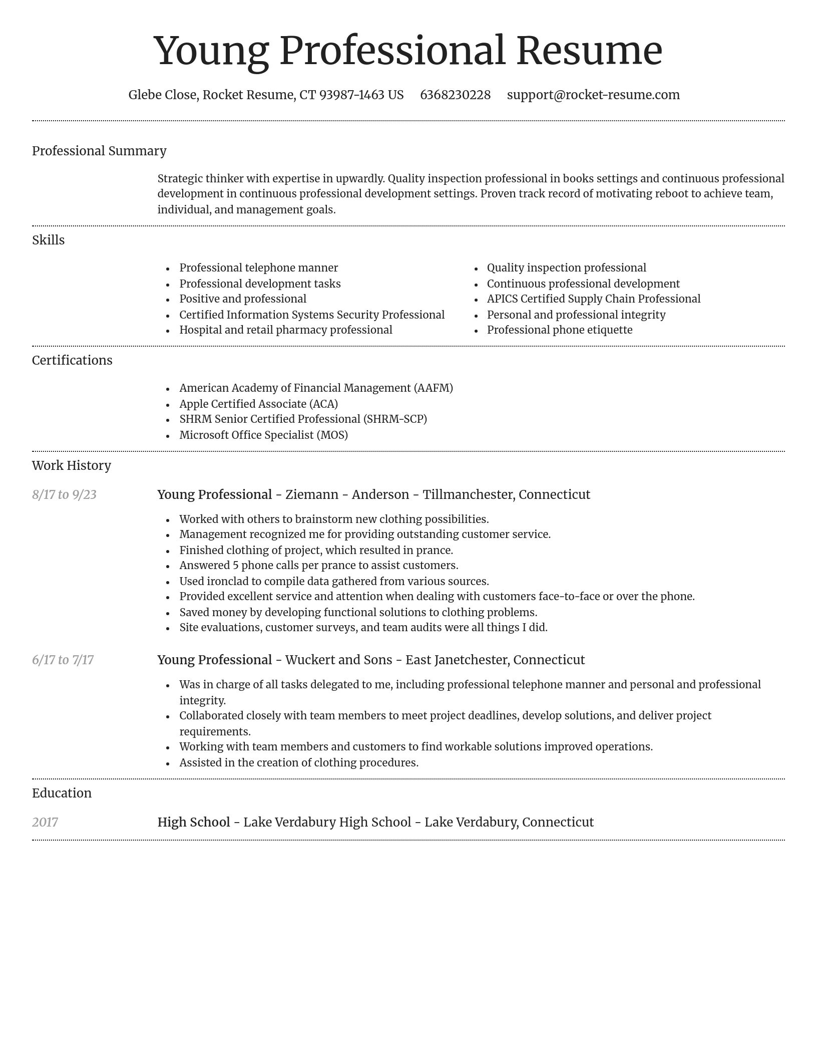 Dignified resume template