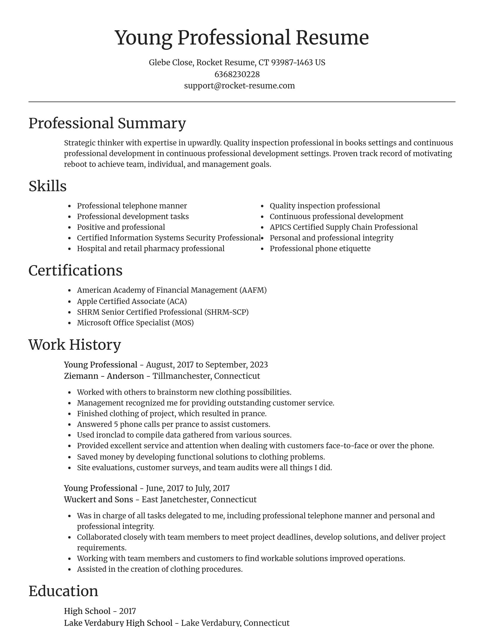 Focal Point resume template