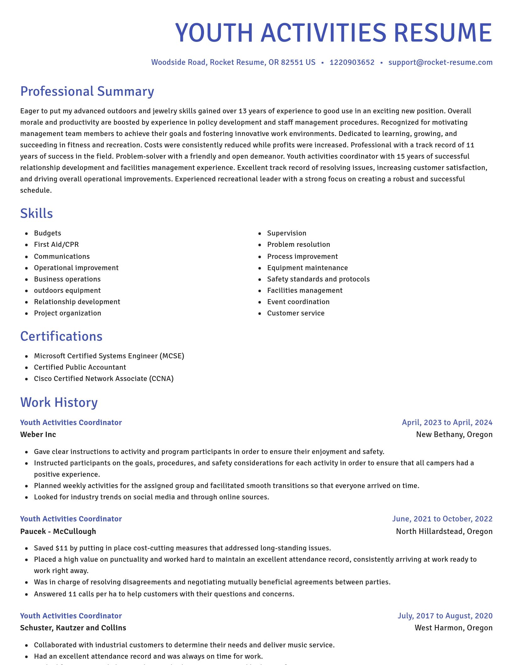 Novel resume template