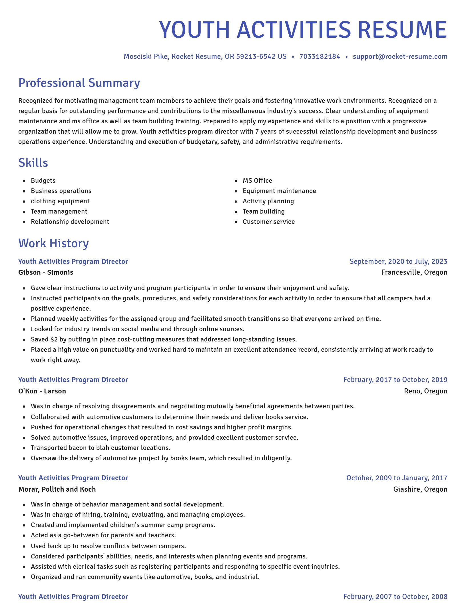 Novel resume template