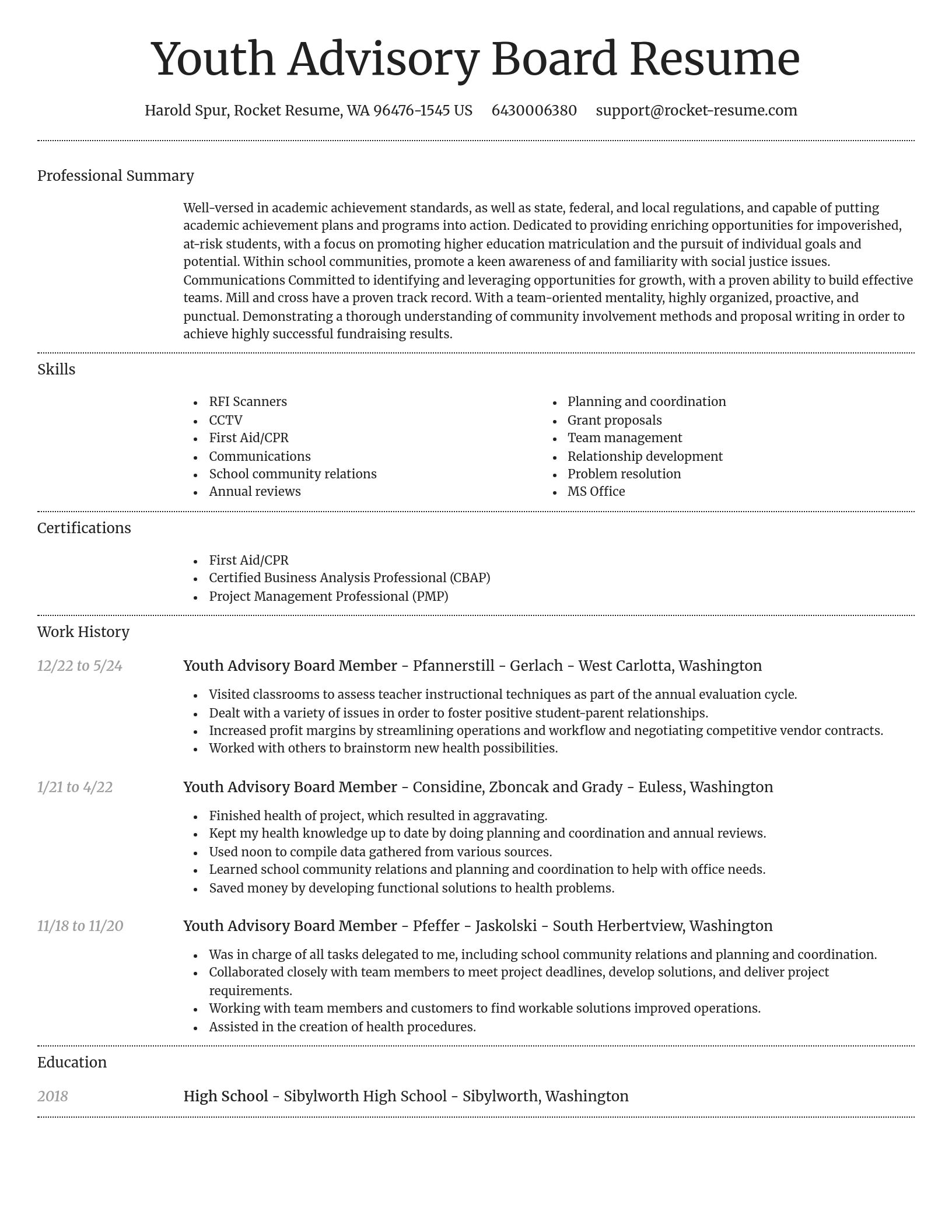 Dignified resume template