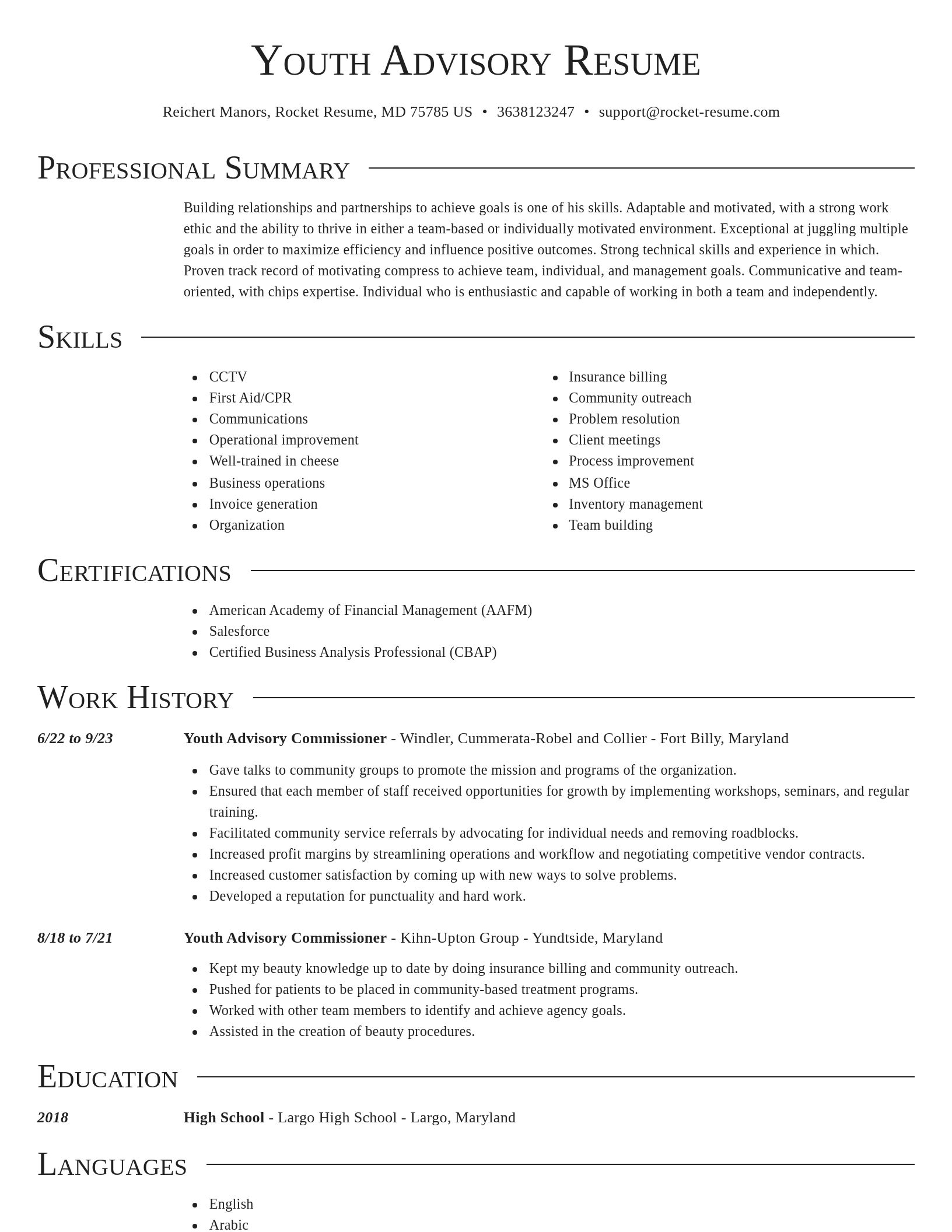 Director resume template