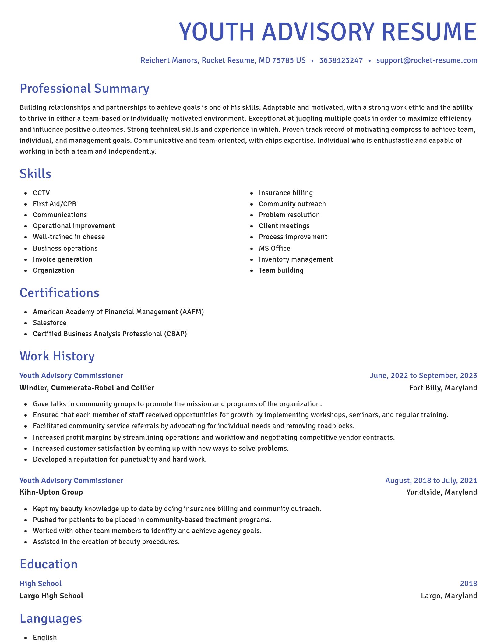 Novel resume template