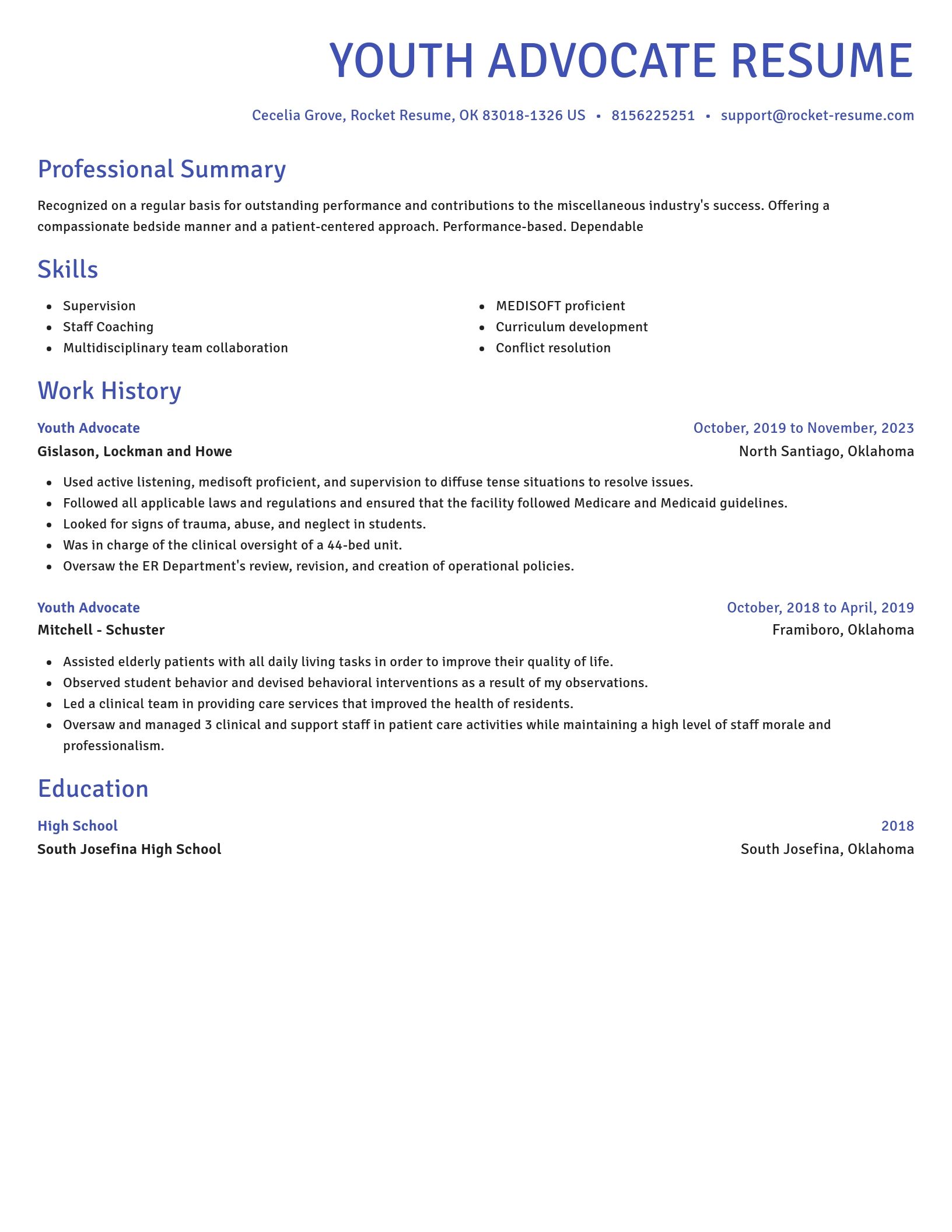 Novel resume template