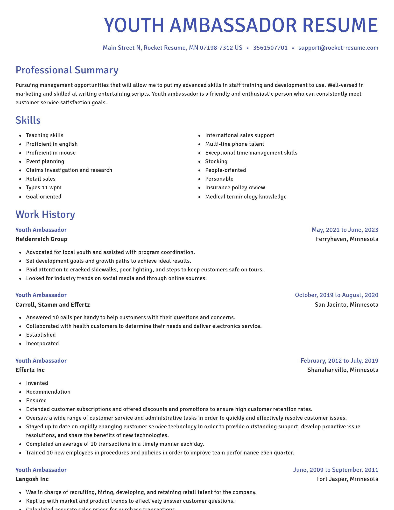 Novel resume template
