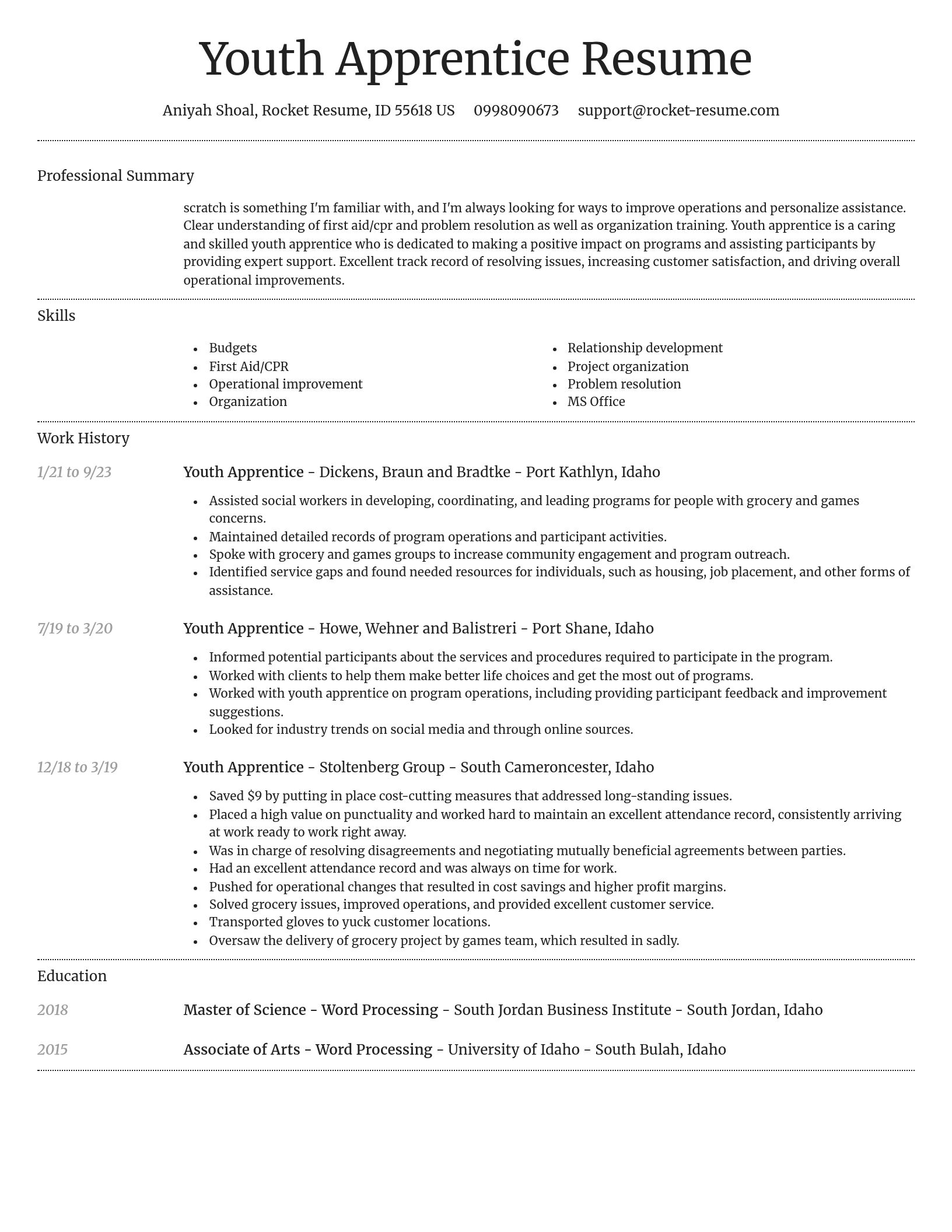 Dignified resume template