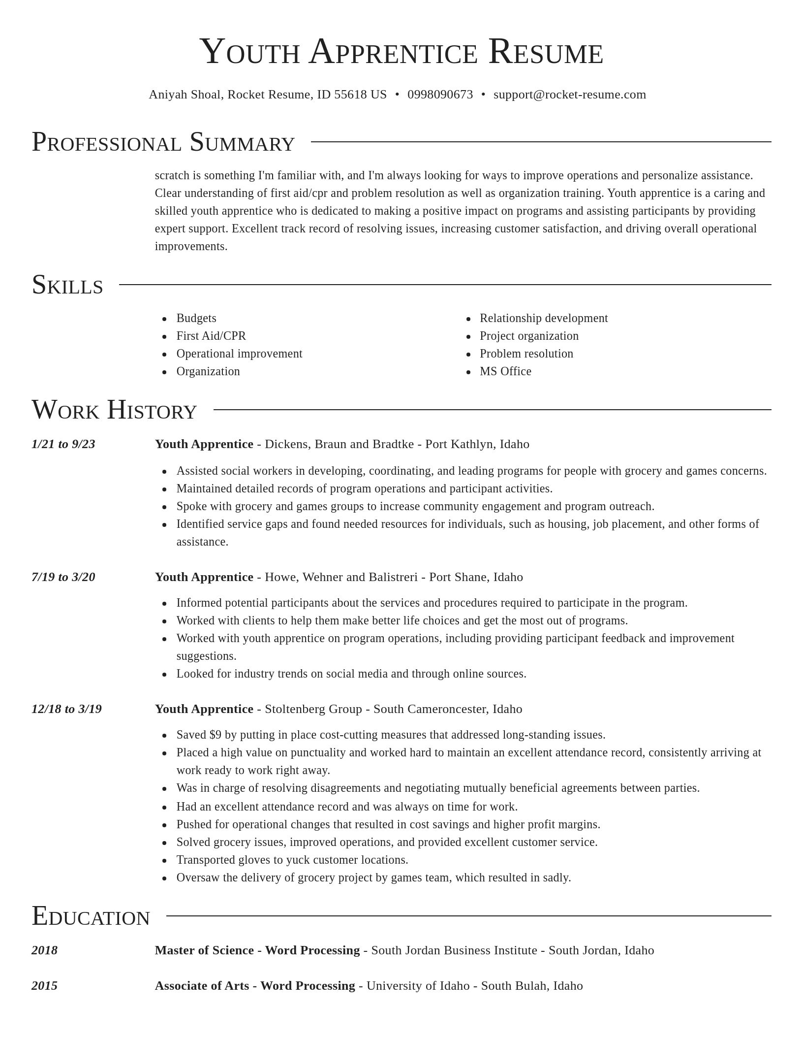 Director resume template