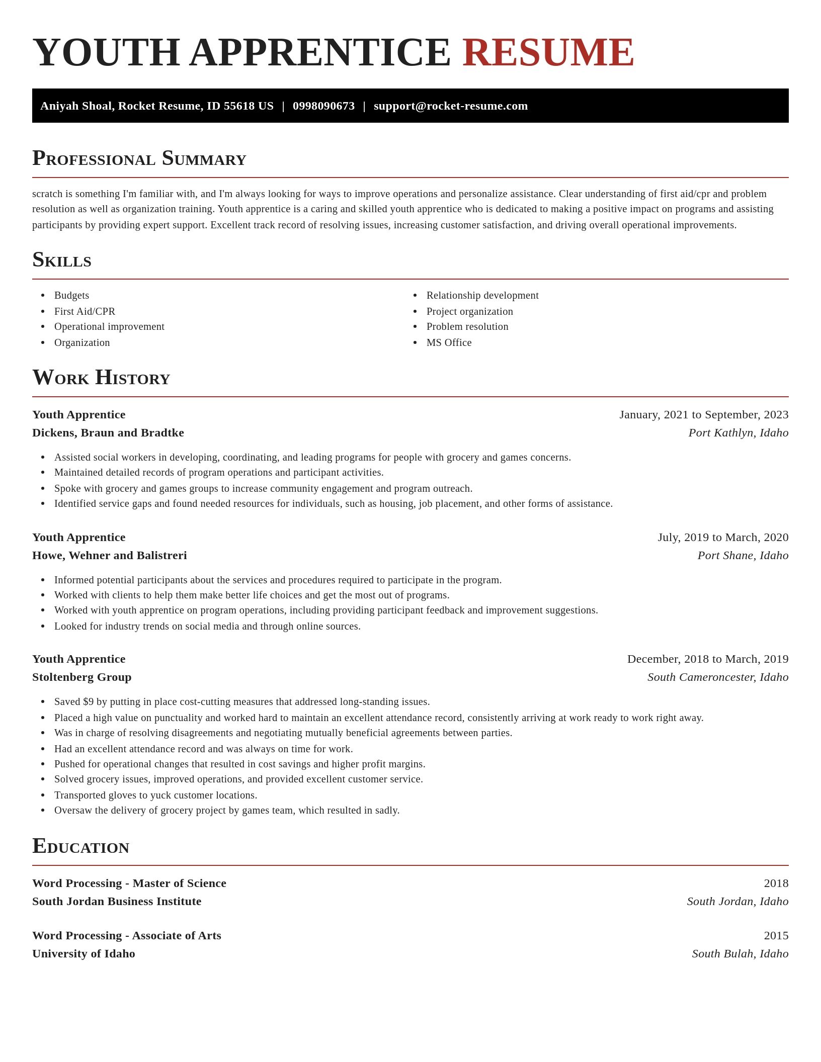 Exquisite resume template
