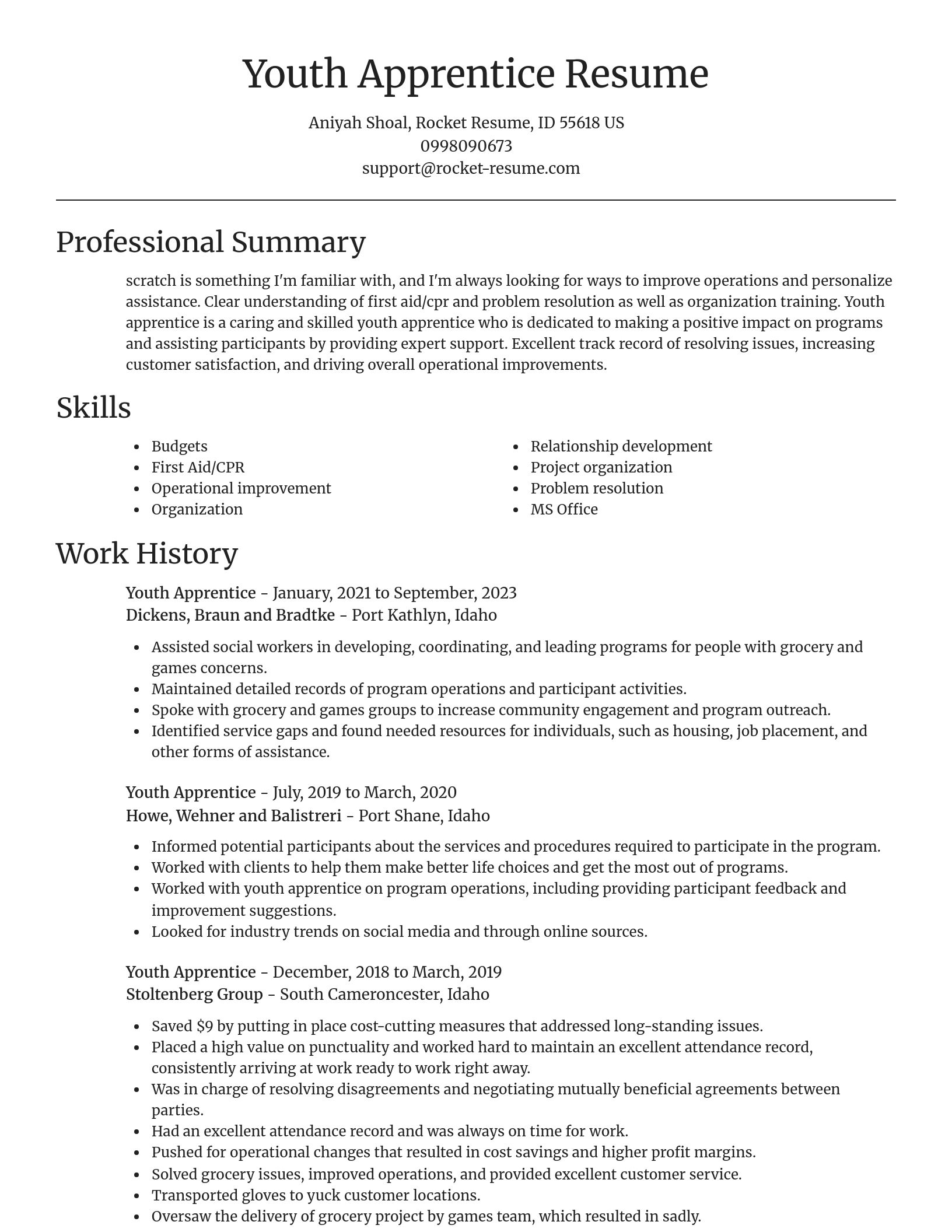 Focal Point resume template