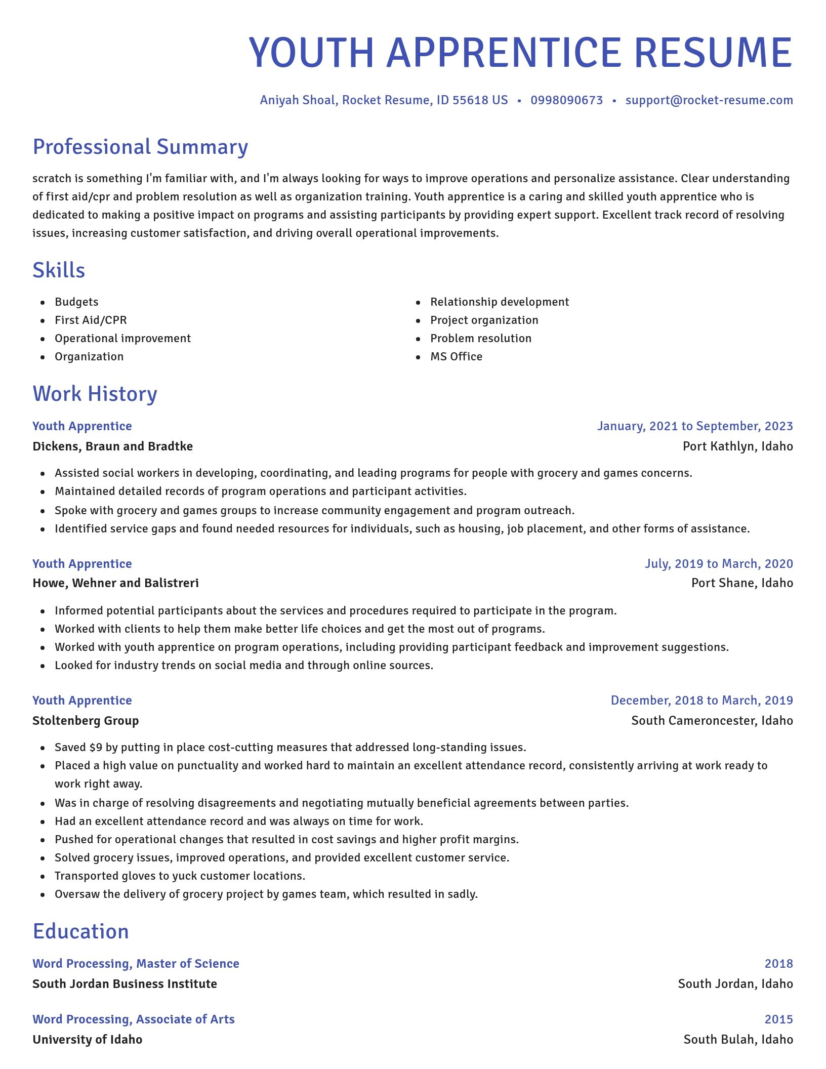 Novel resume template