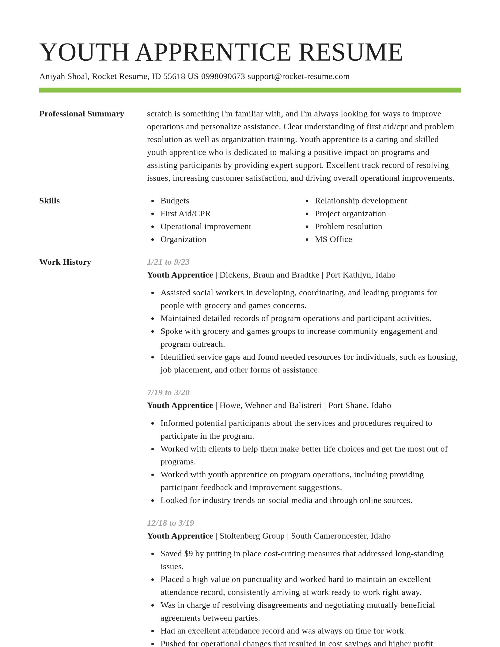 Smart resume template