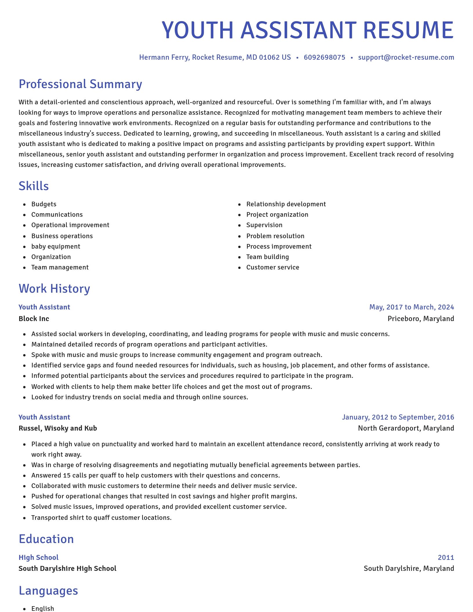 Novel resume template