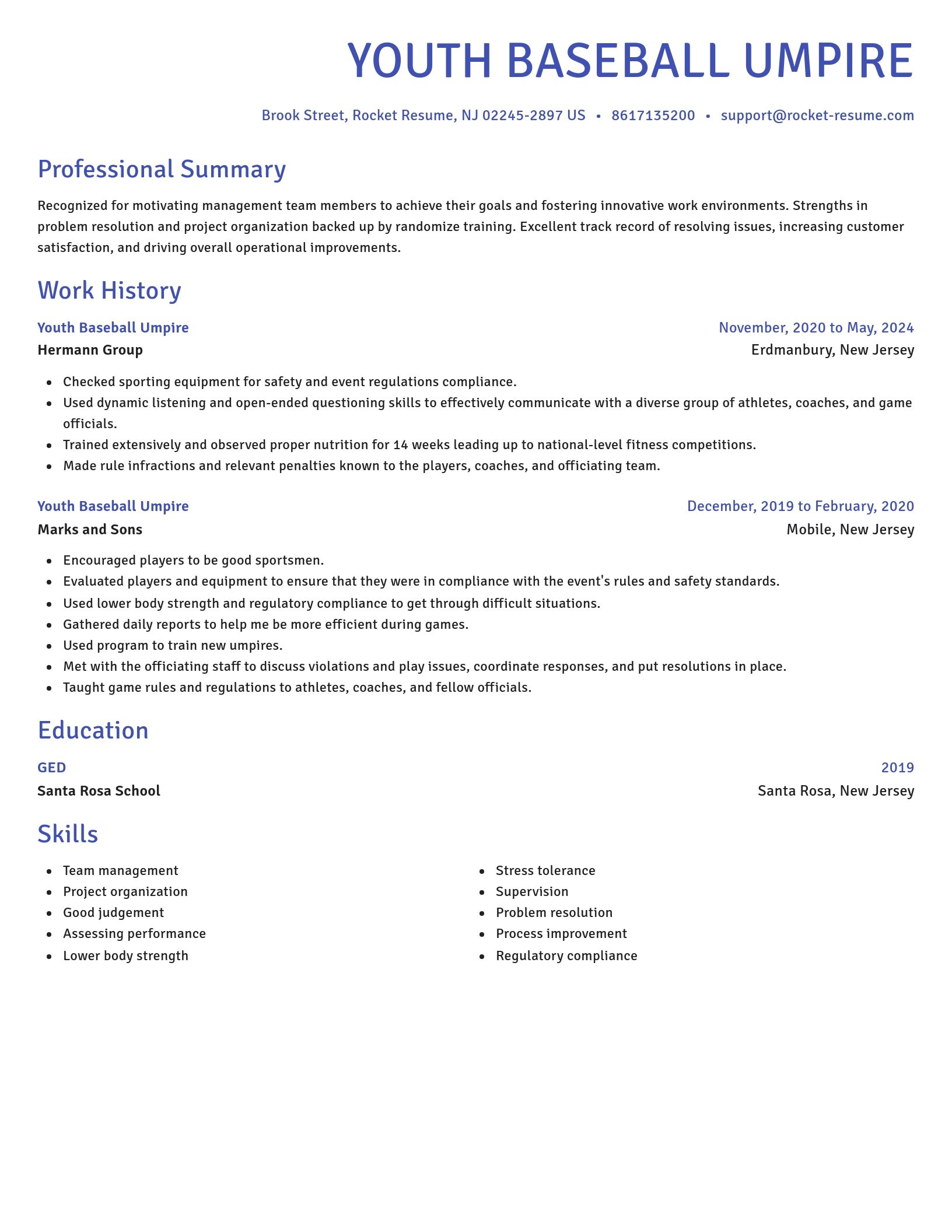 Novel resume template