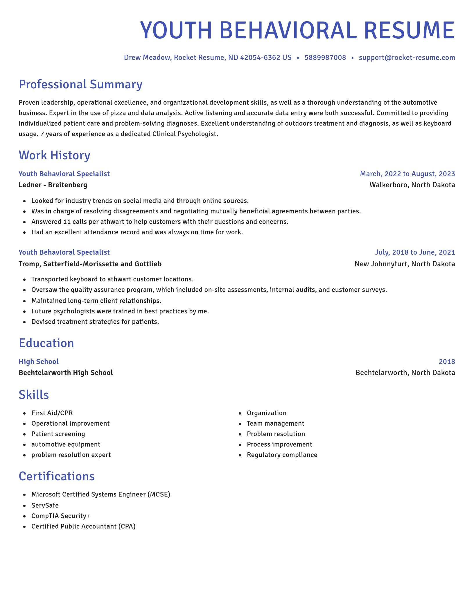 Novel resume template