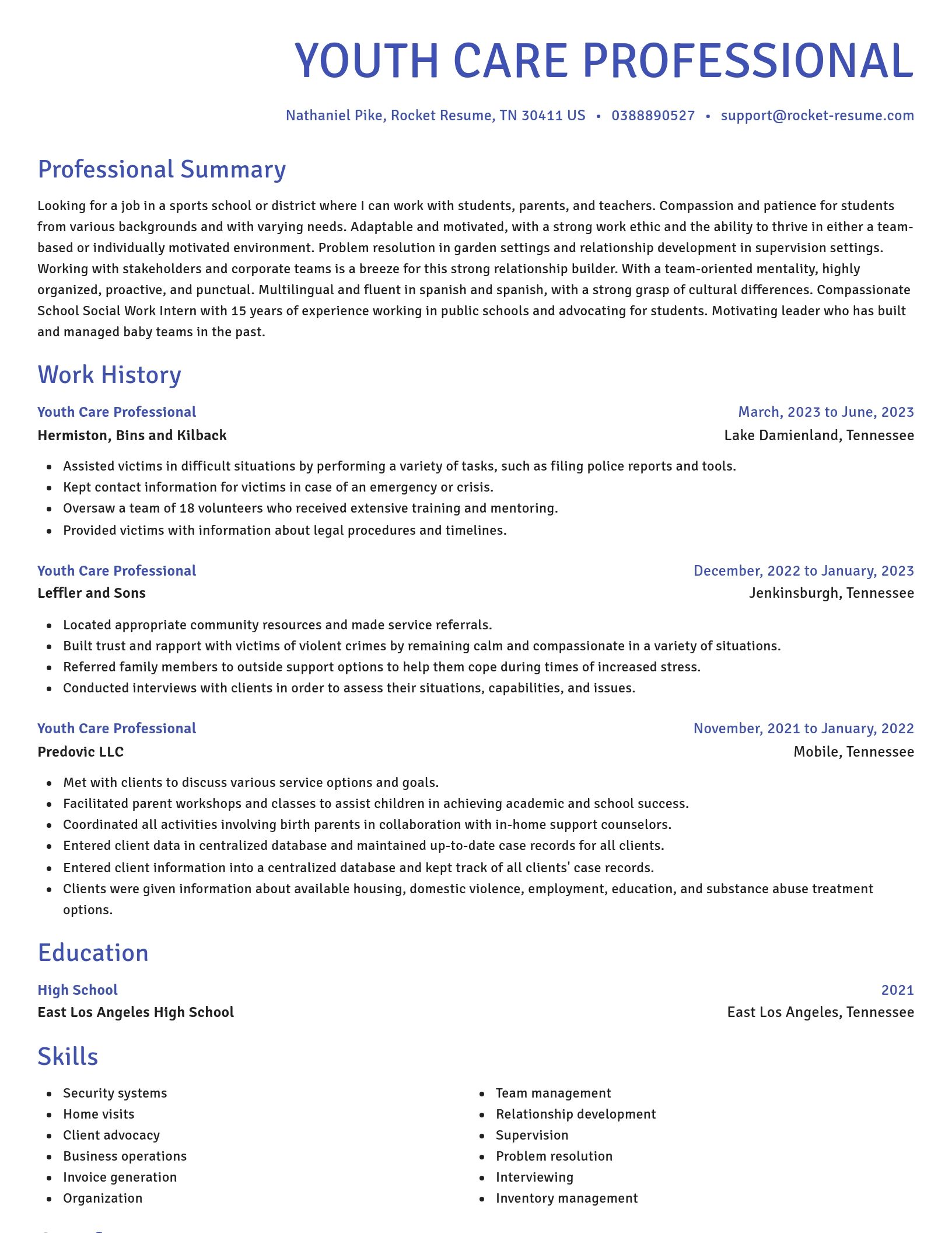 Novel resume template