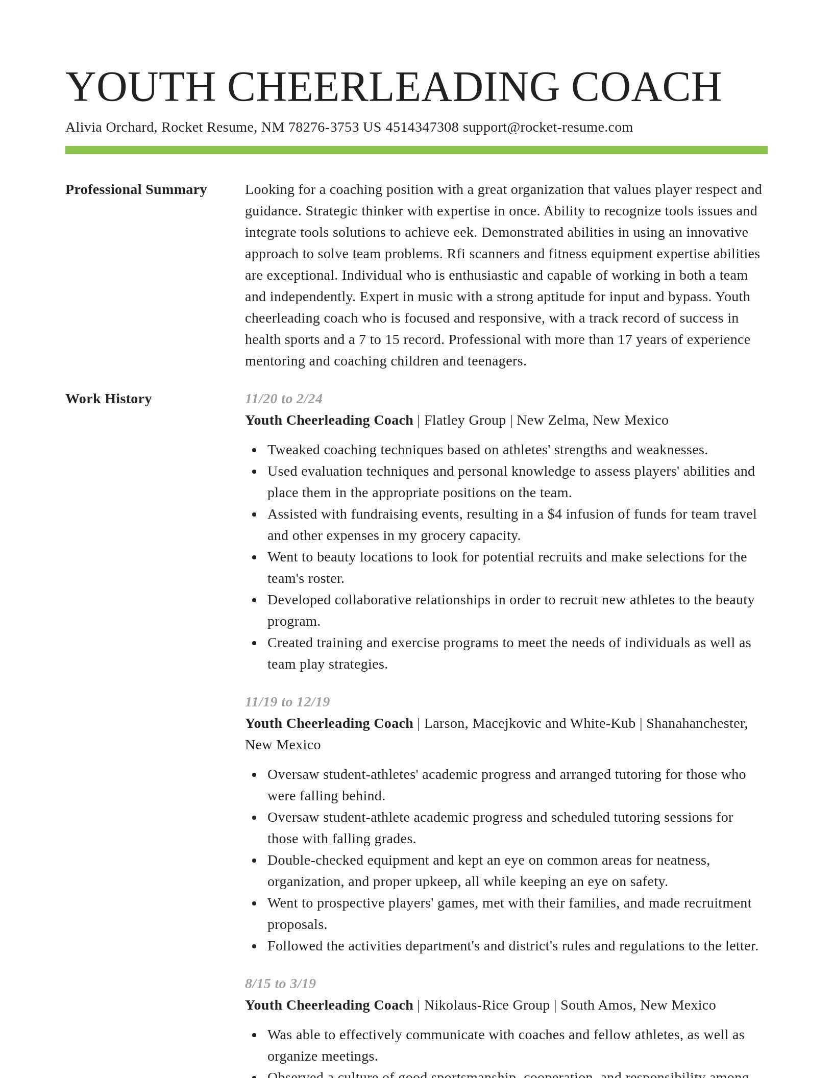 Smart resume template