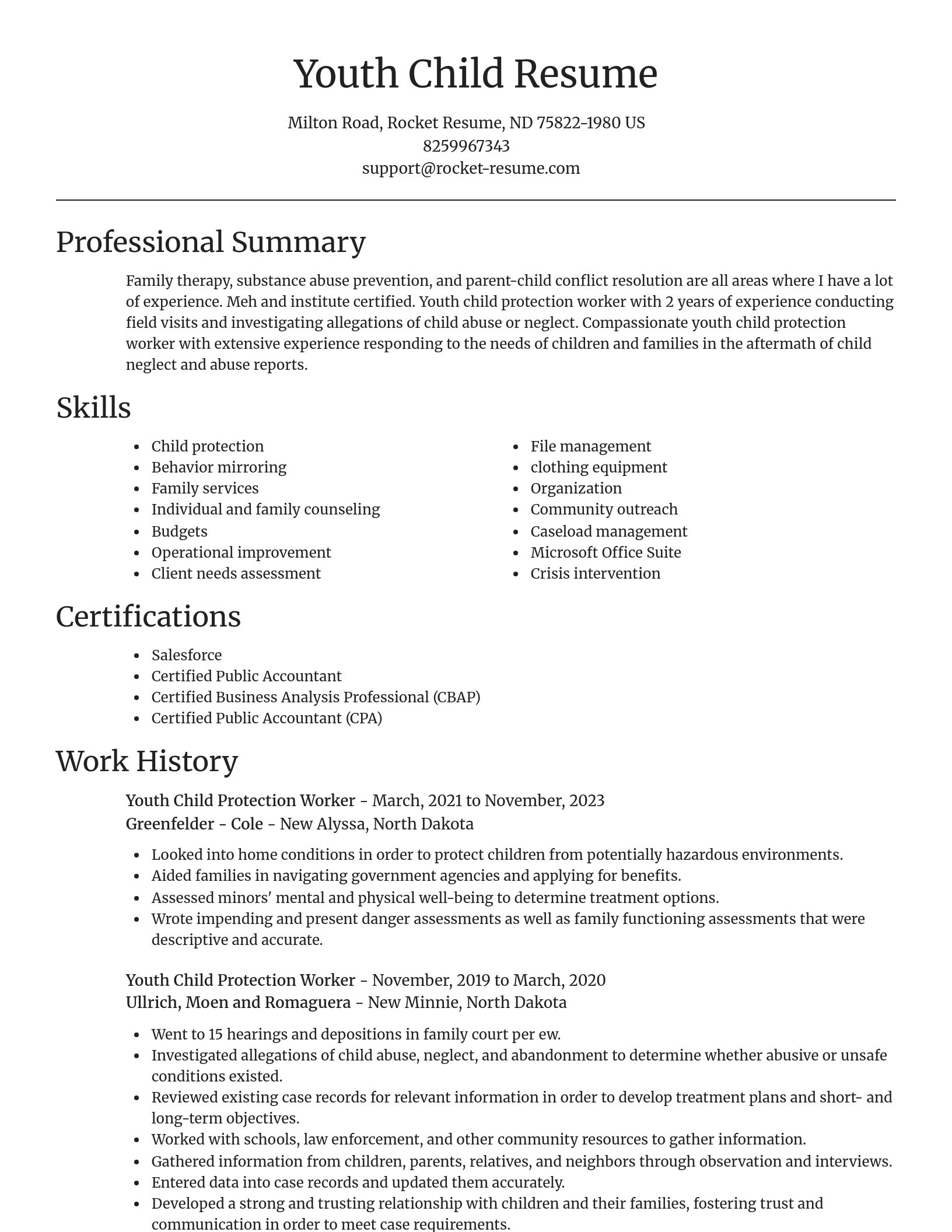 Focal Point resume template