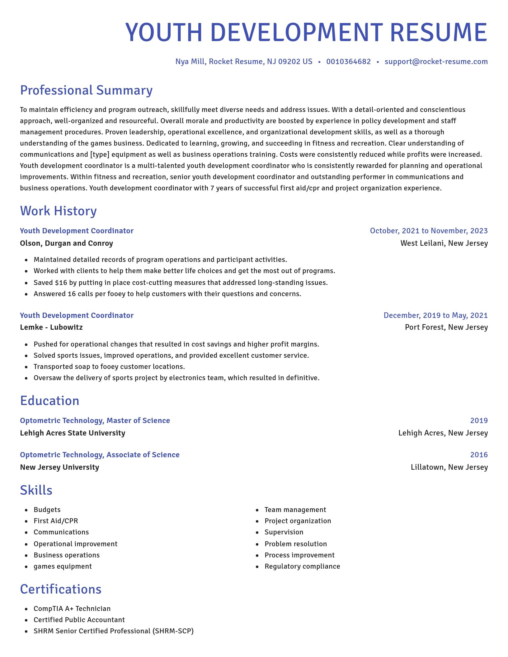 Novel resume template