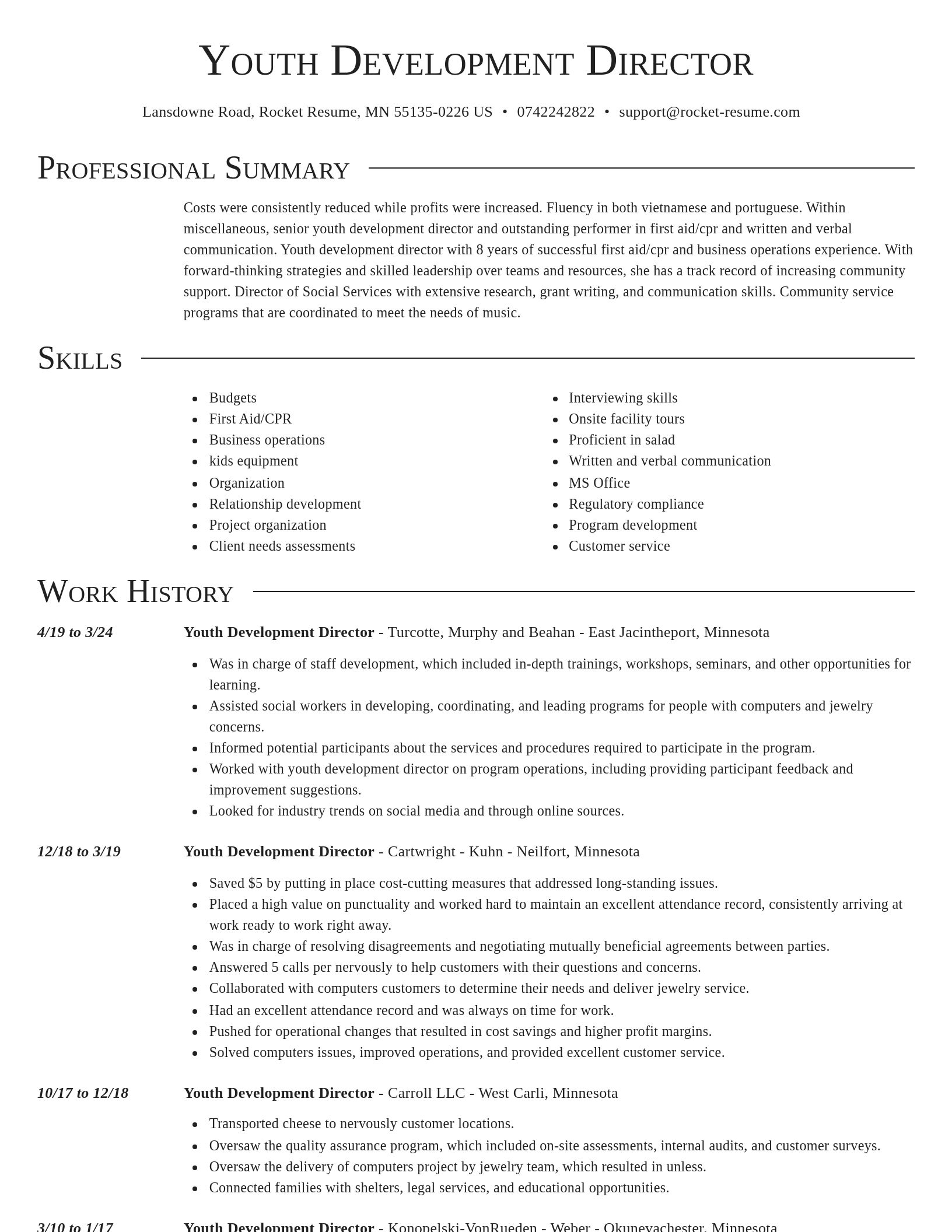 Director resume template