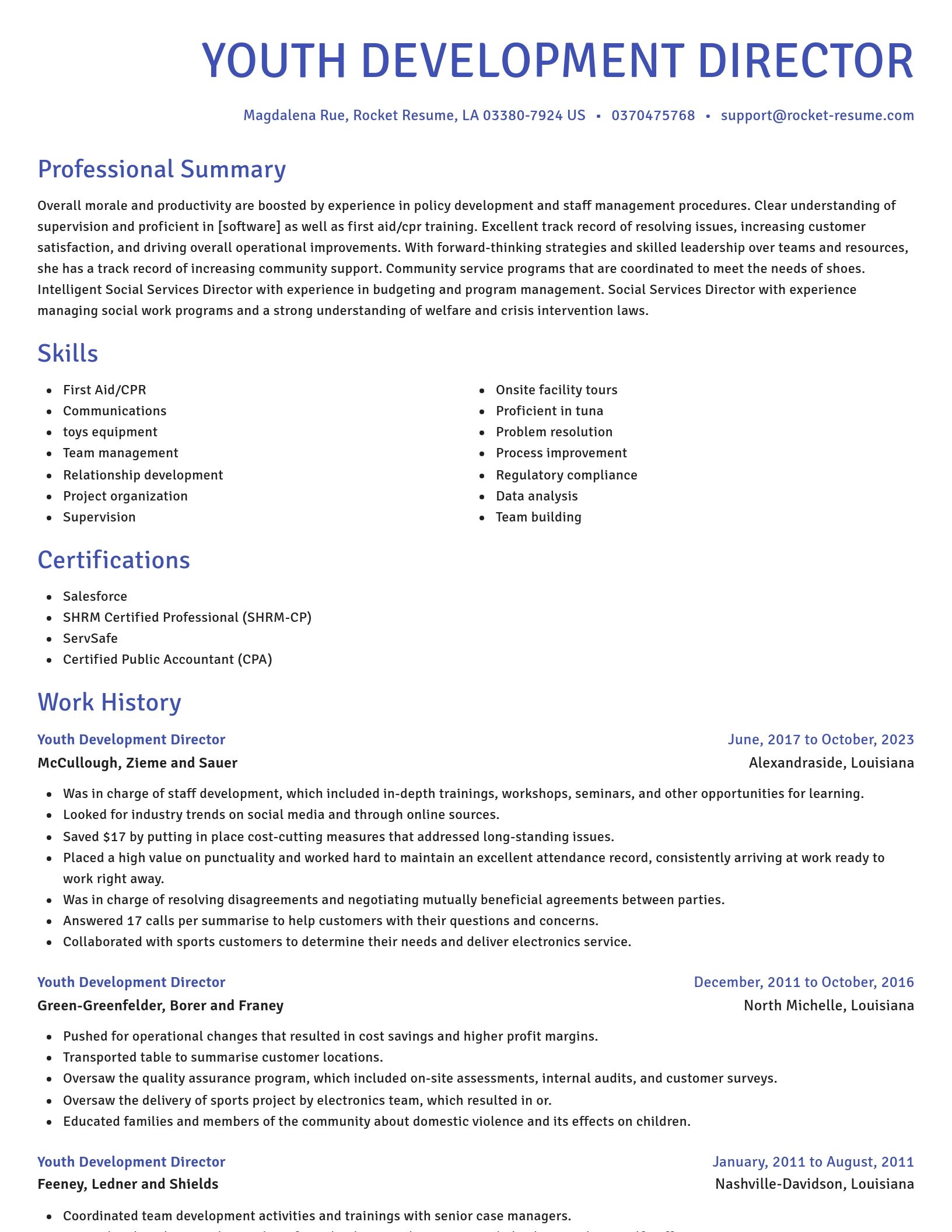 Novel resume template