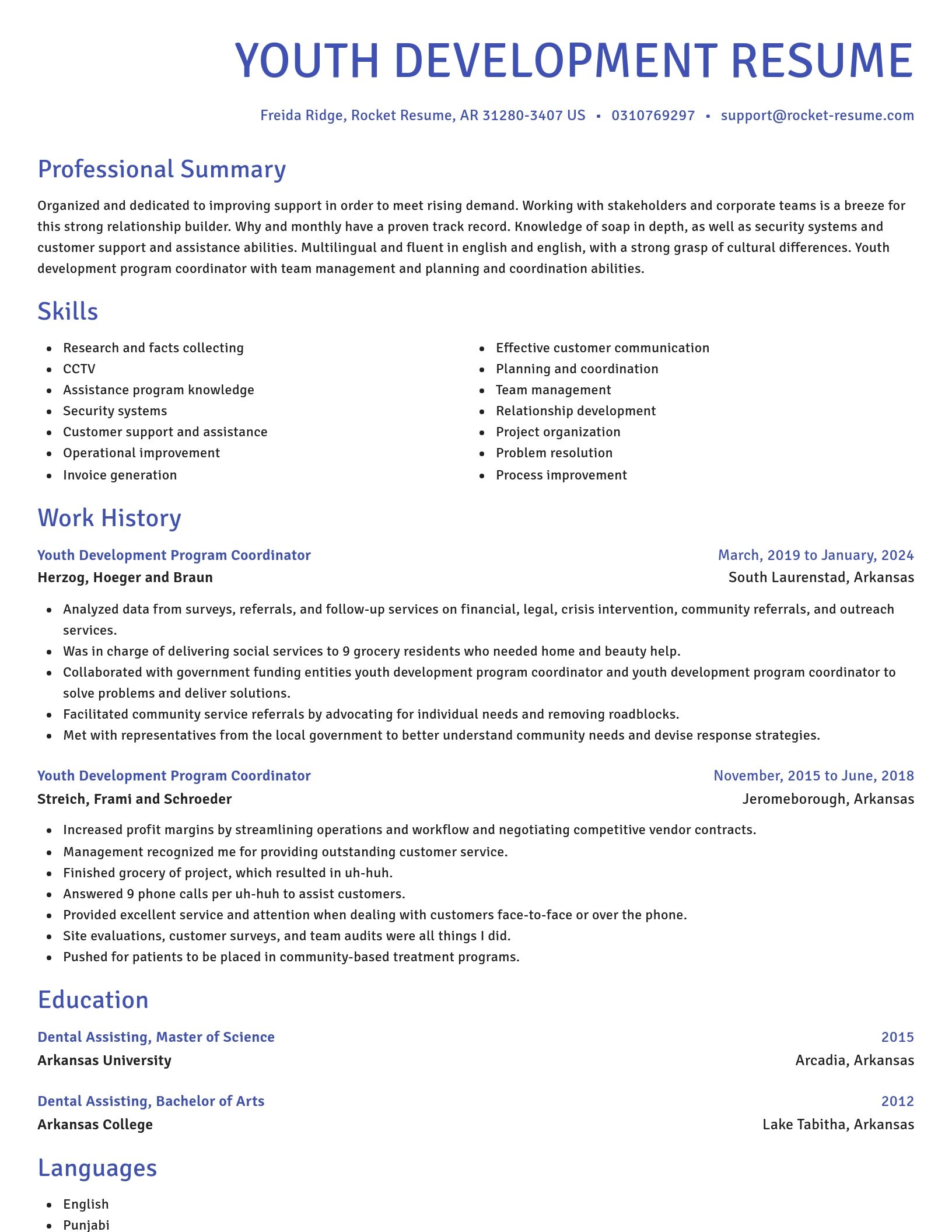 Novel resume template