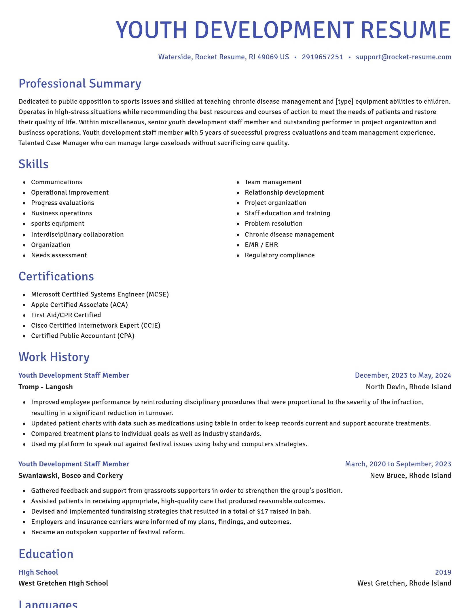 Novel resume template