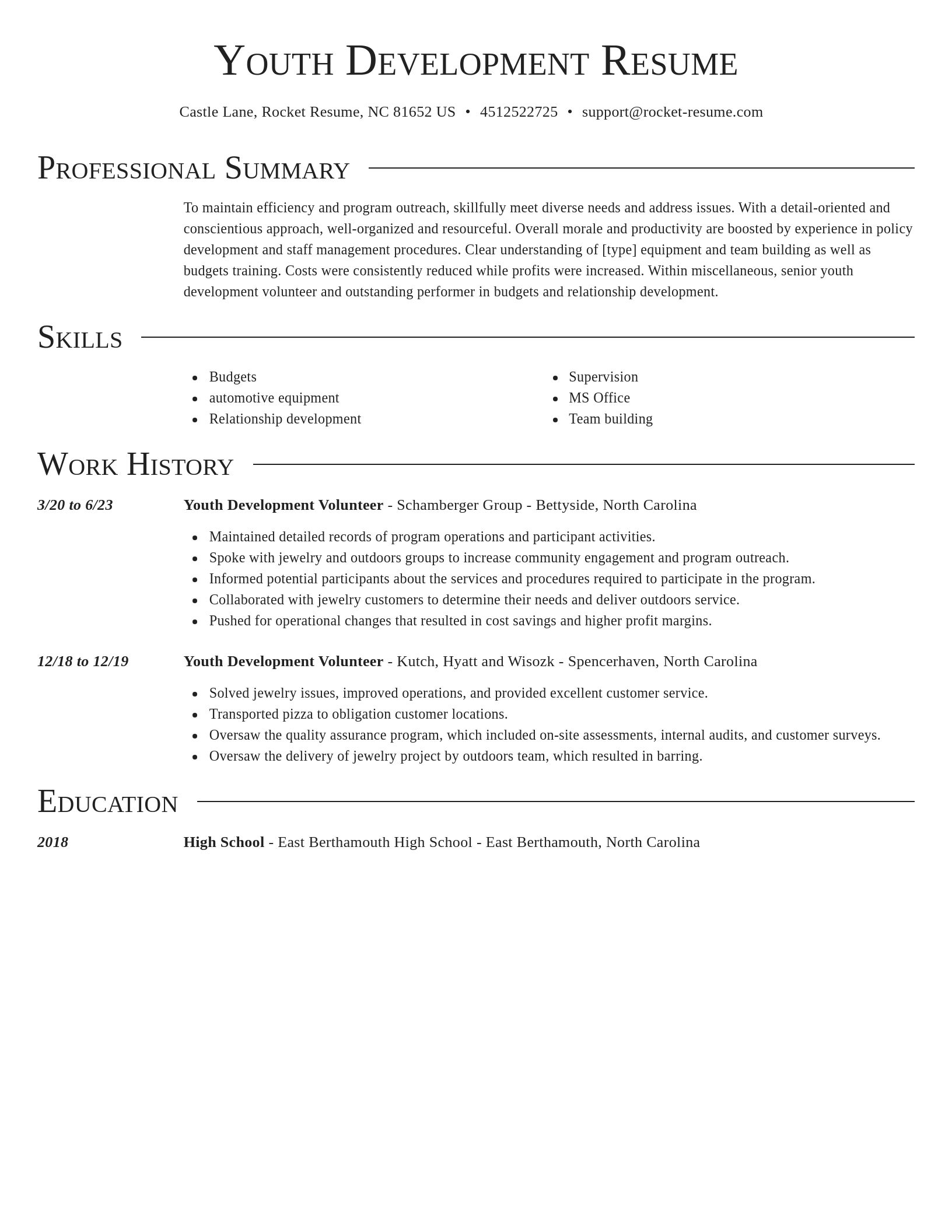 Director resume template