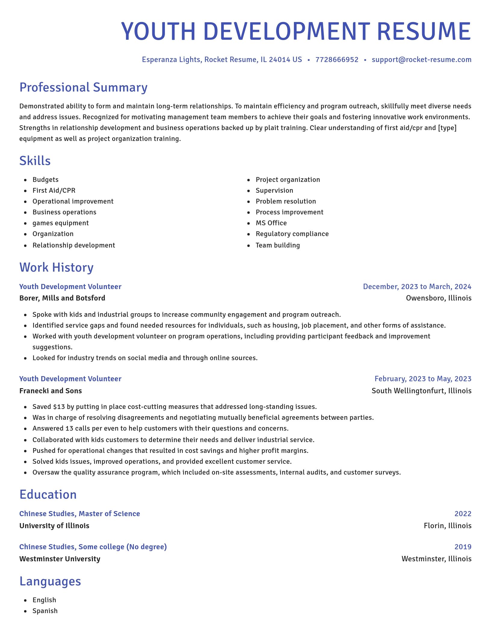 Novel resume template
