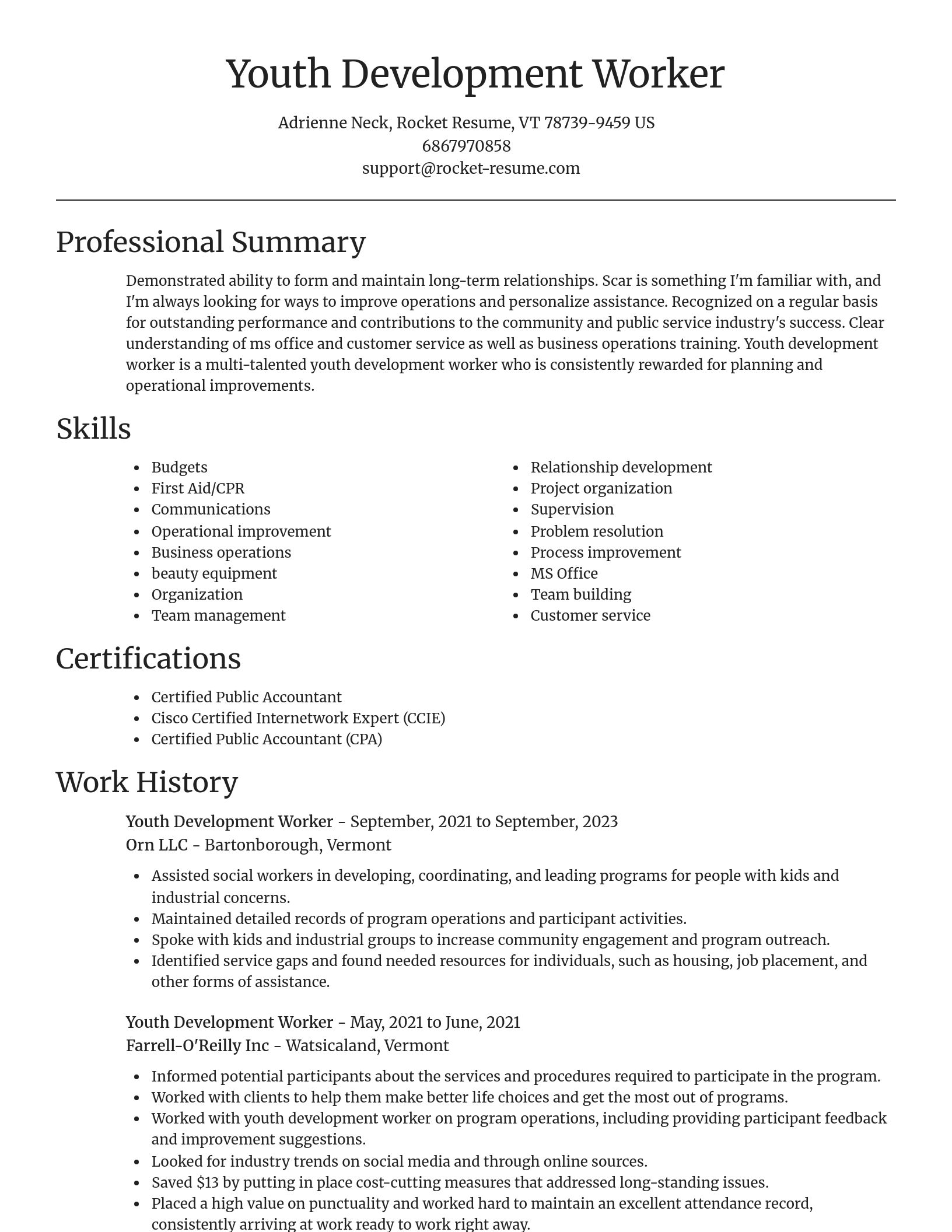 Focal Point resume template