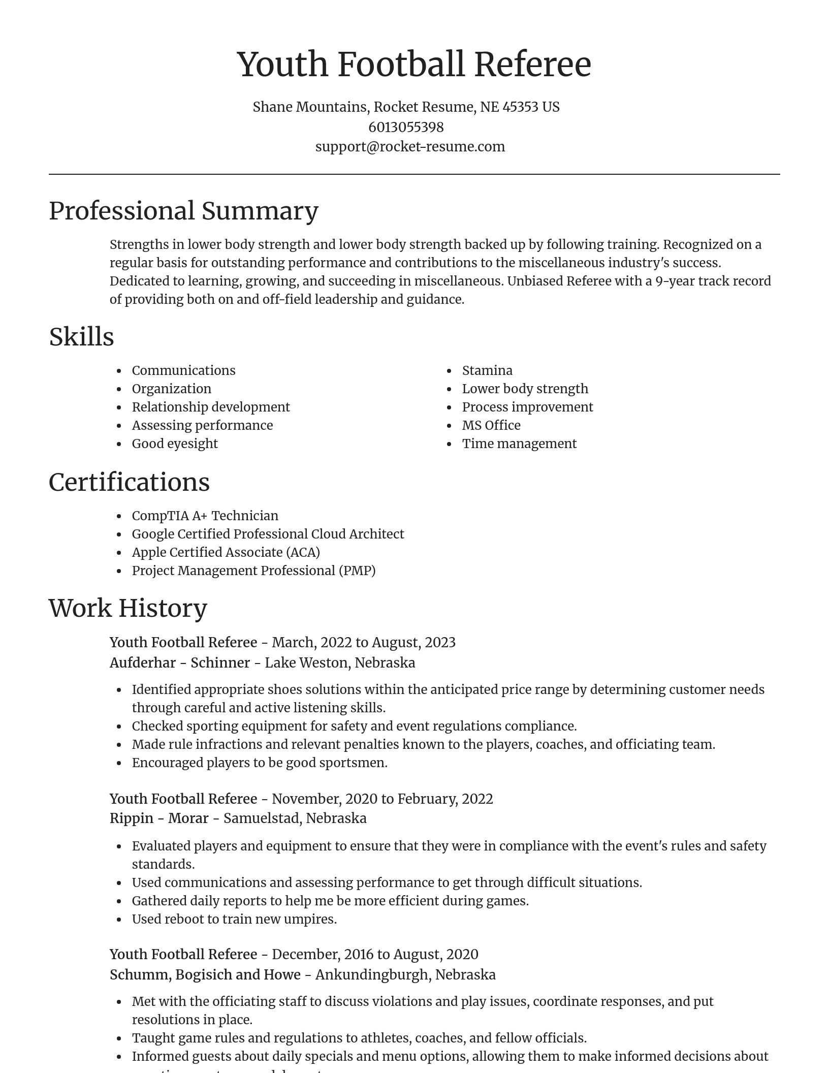 Focal Point resume template