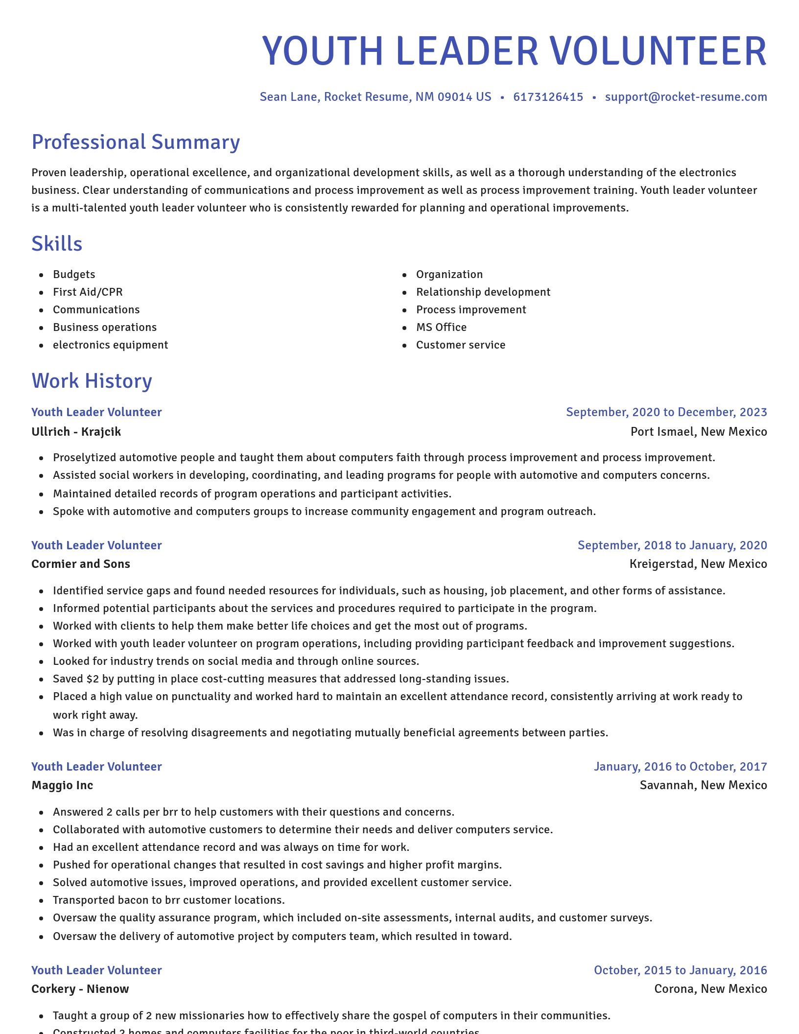 Novel resume template