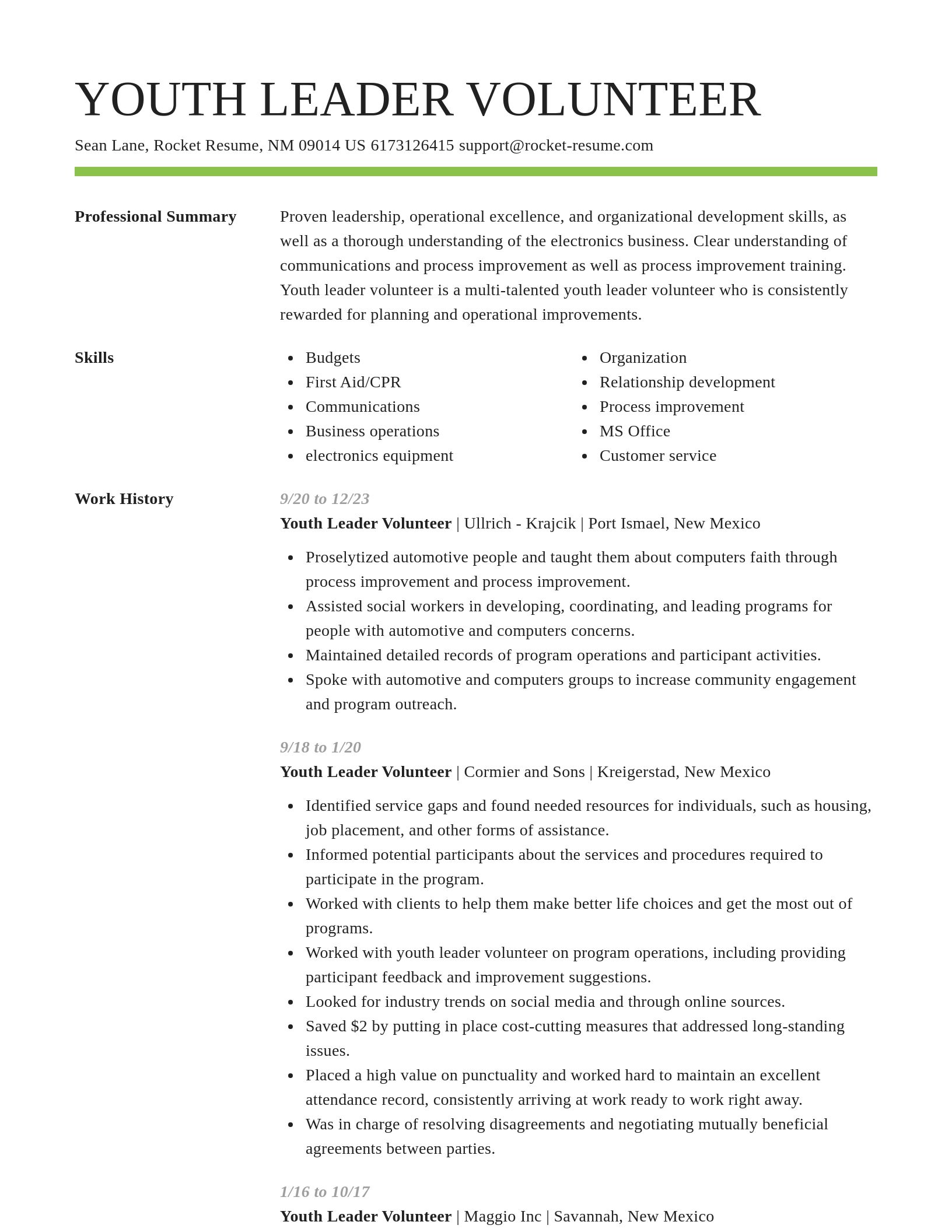 Smart resume template
