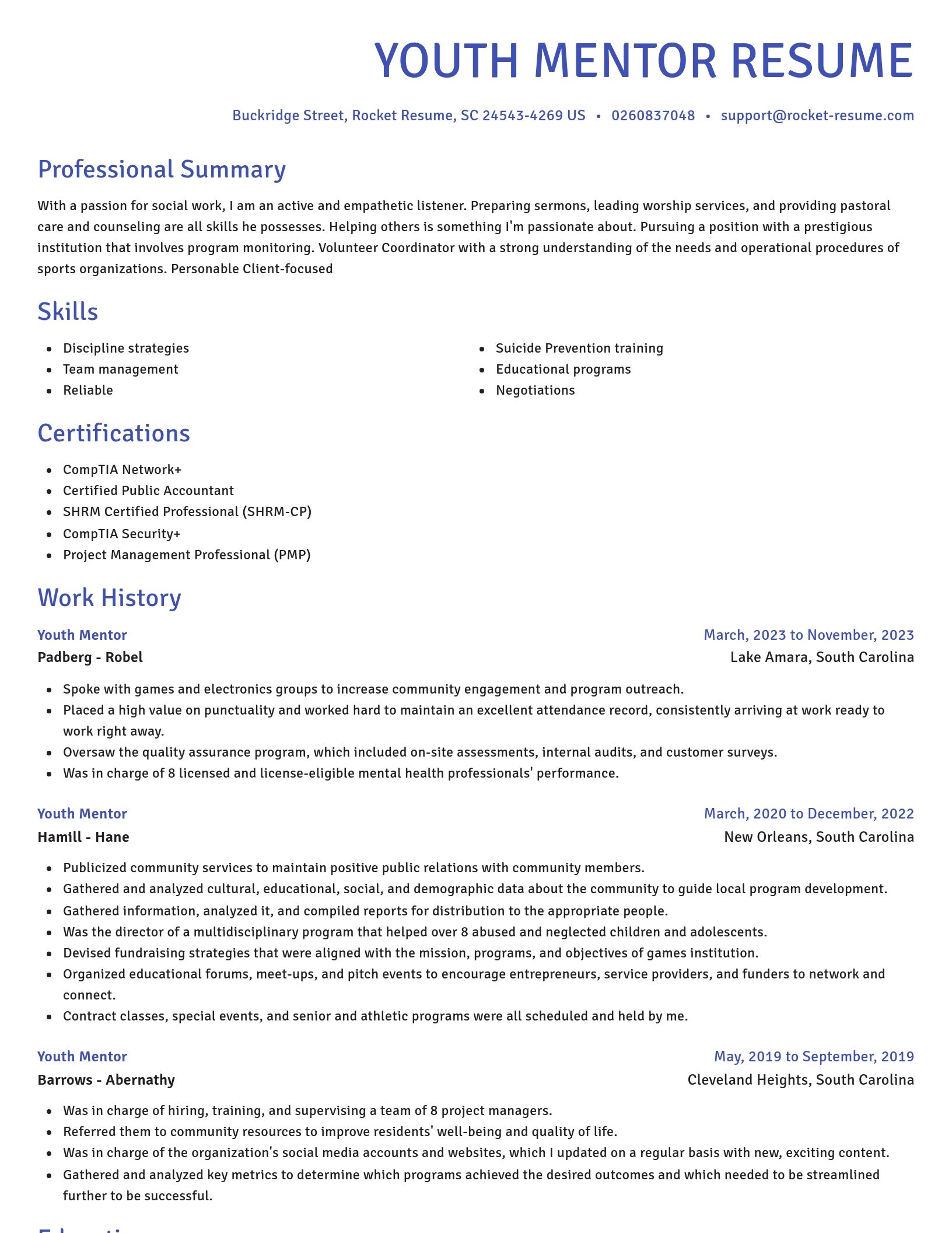 Novel resume template