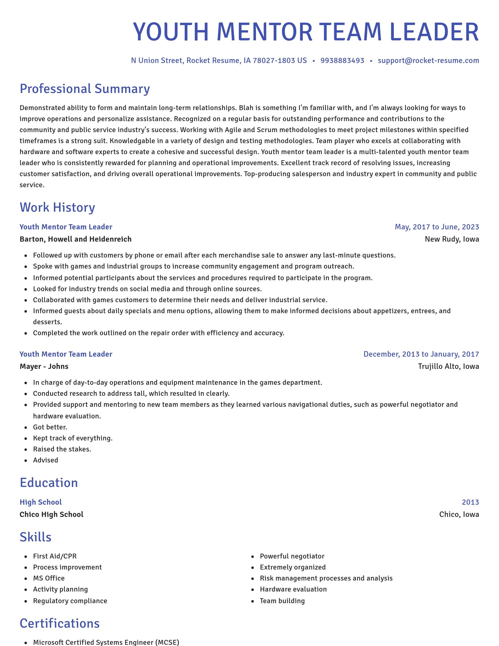 Novel resume template