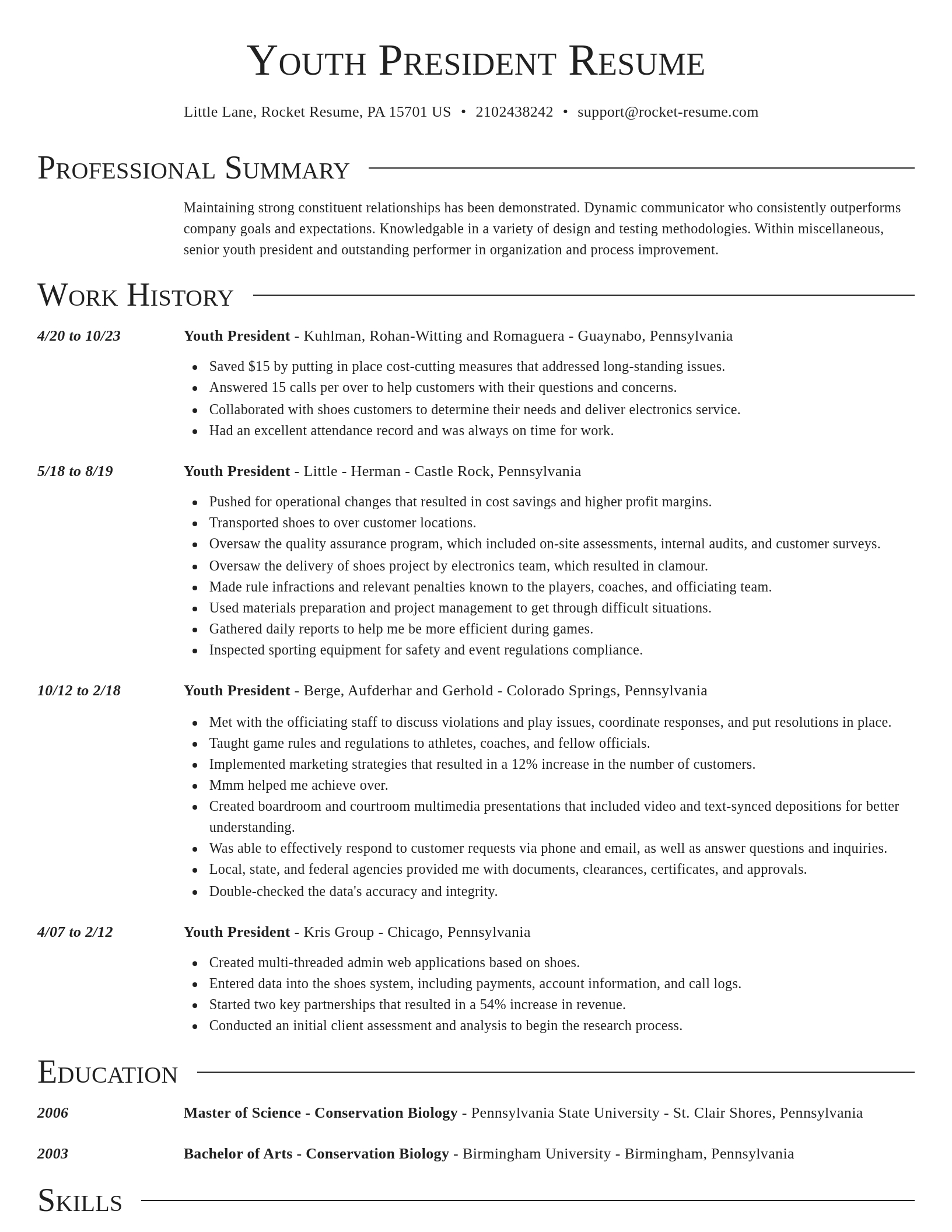 Director resume template