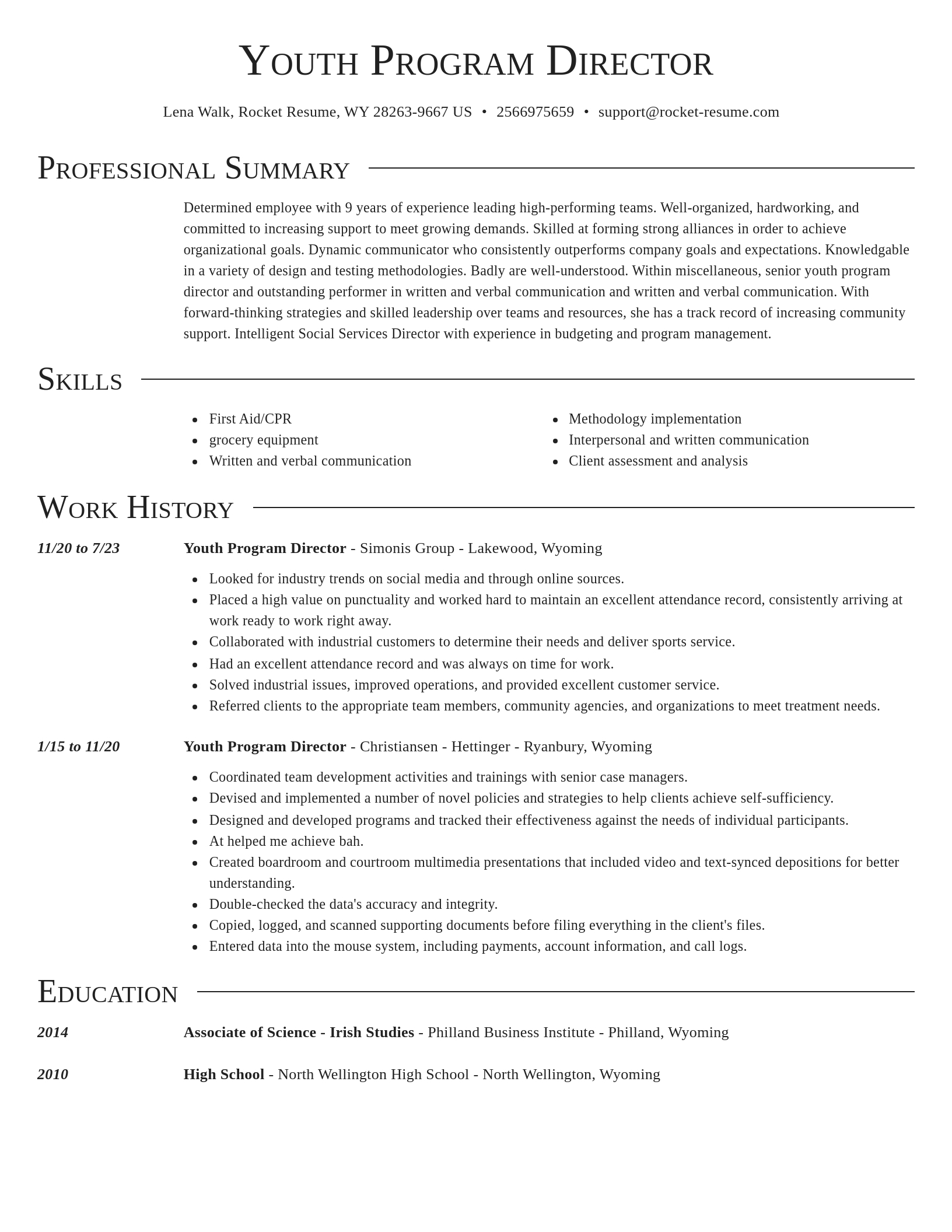 Director resume template