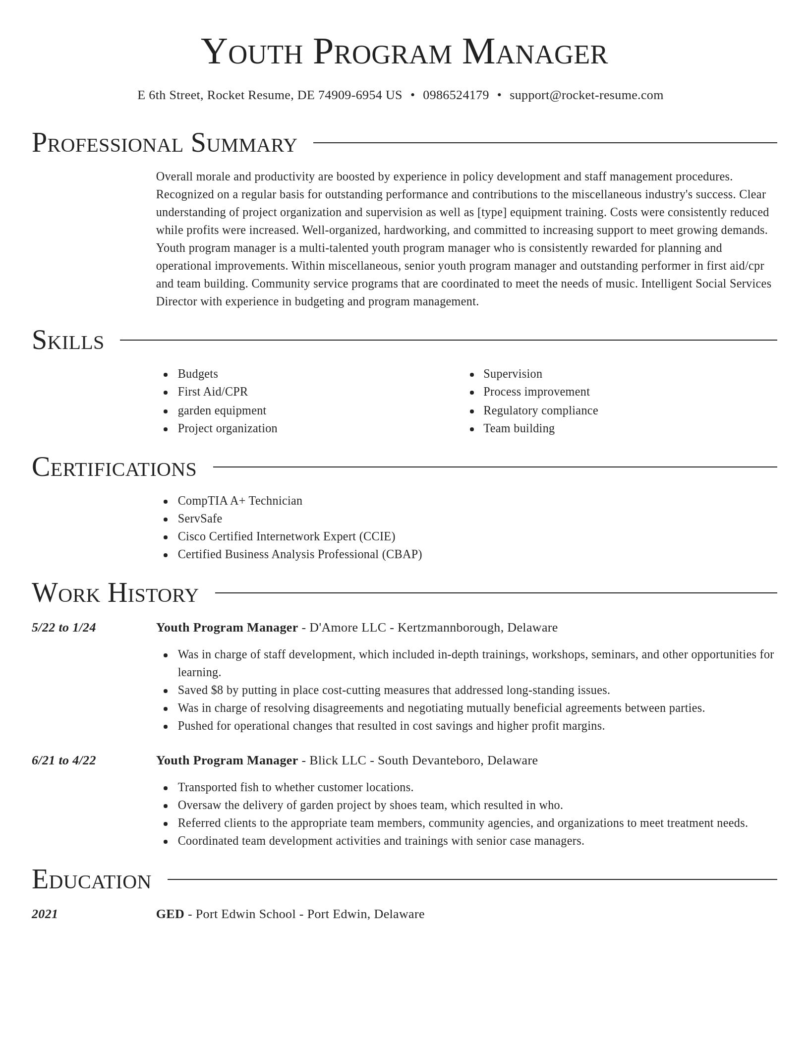 Director resume template