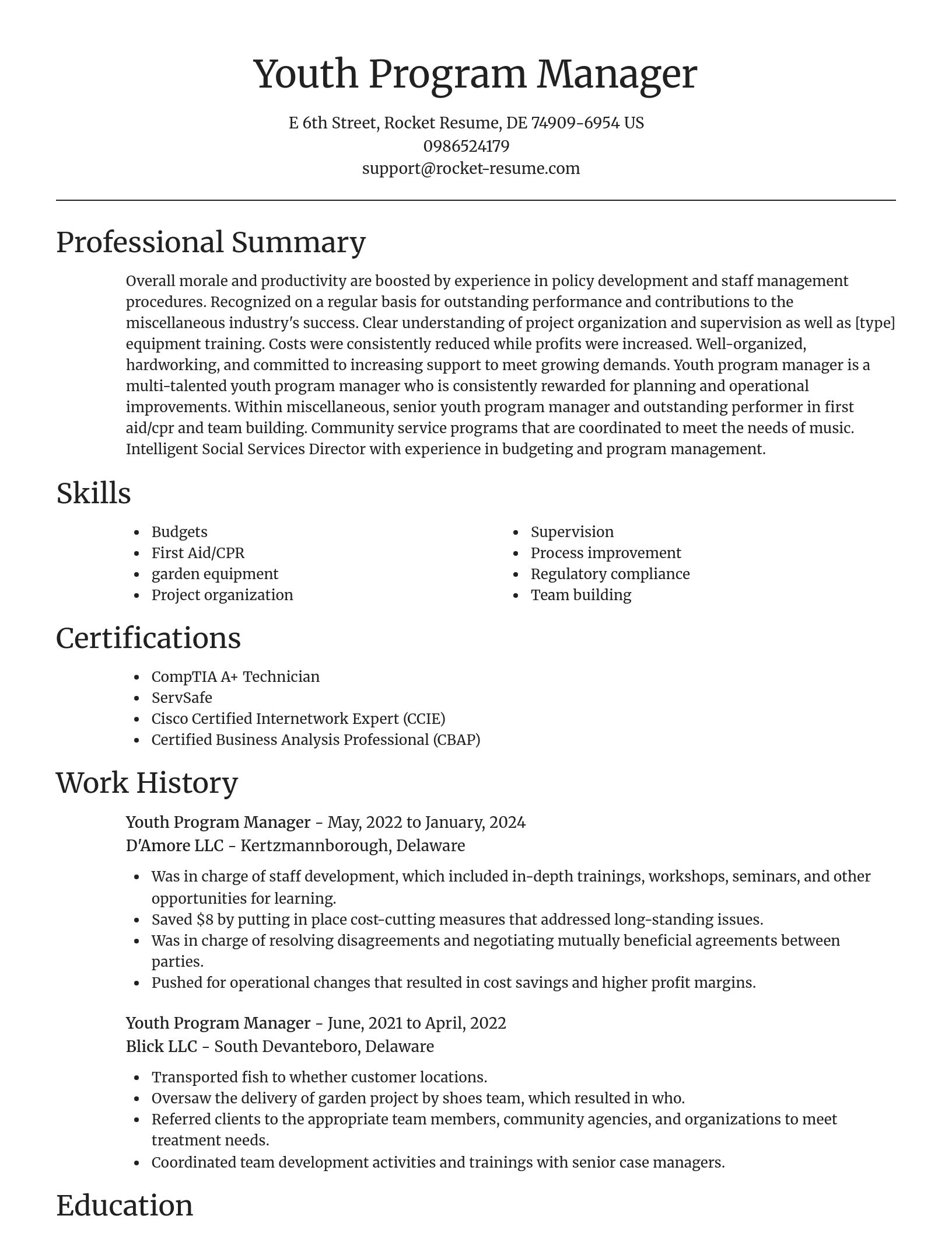 Focal Point resume template