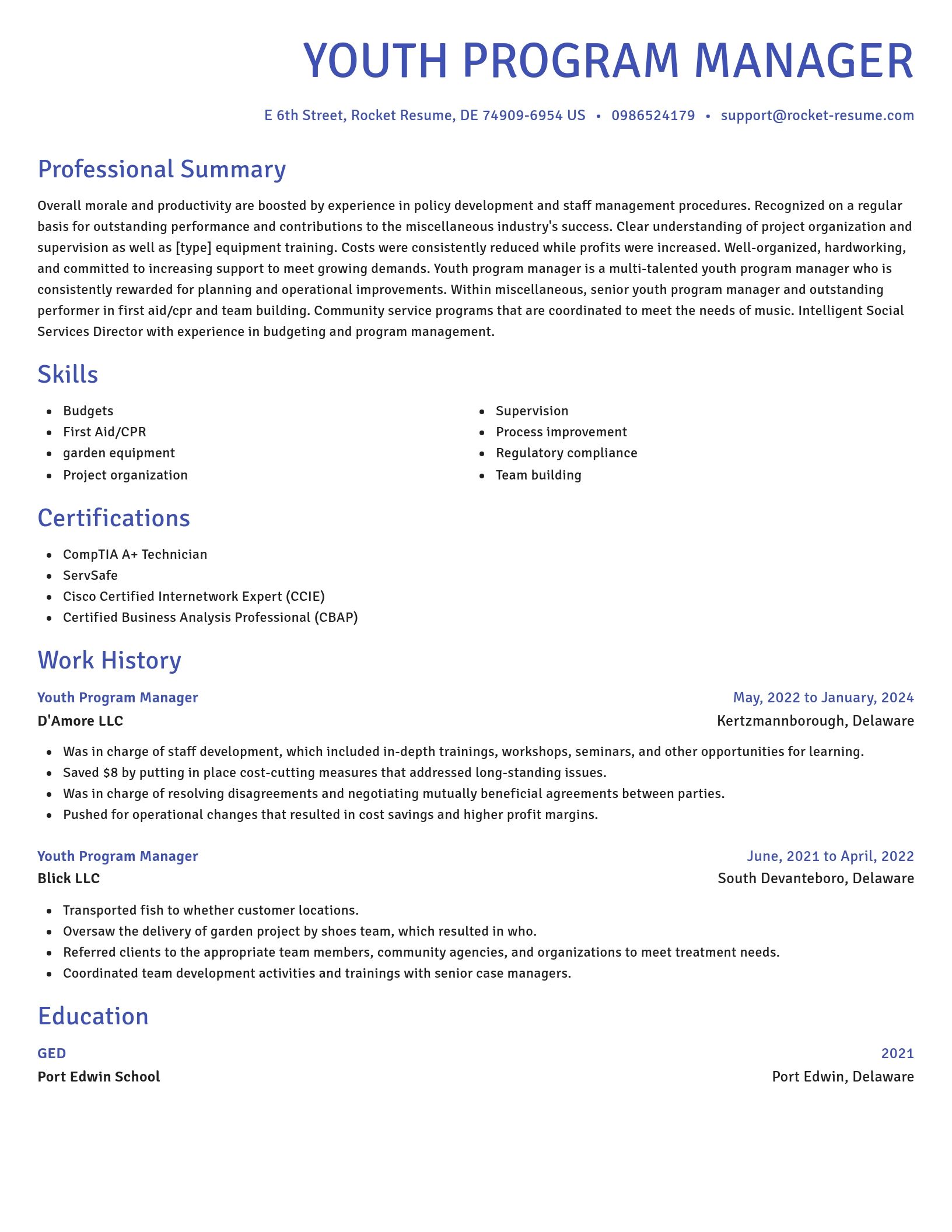 Novel resume template